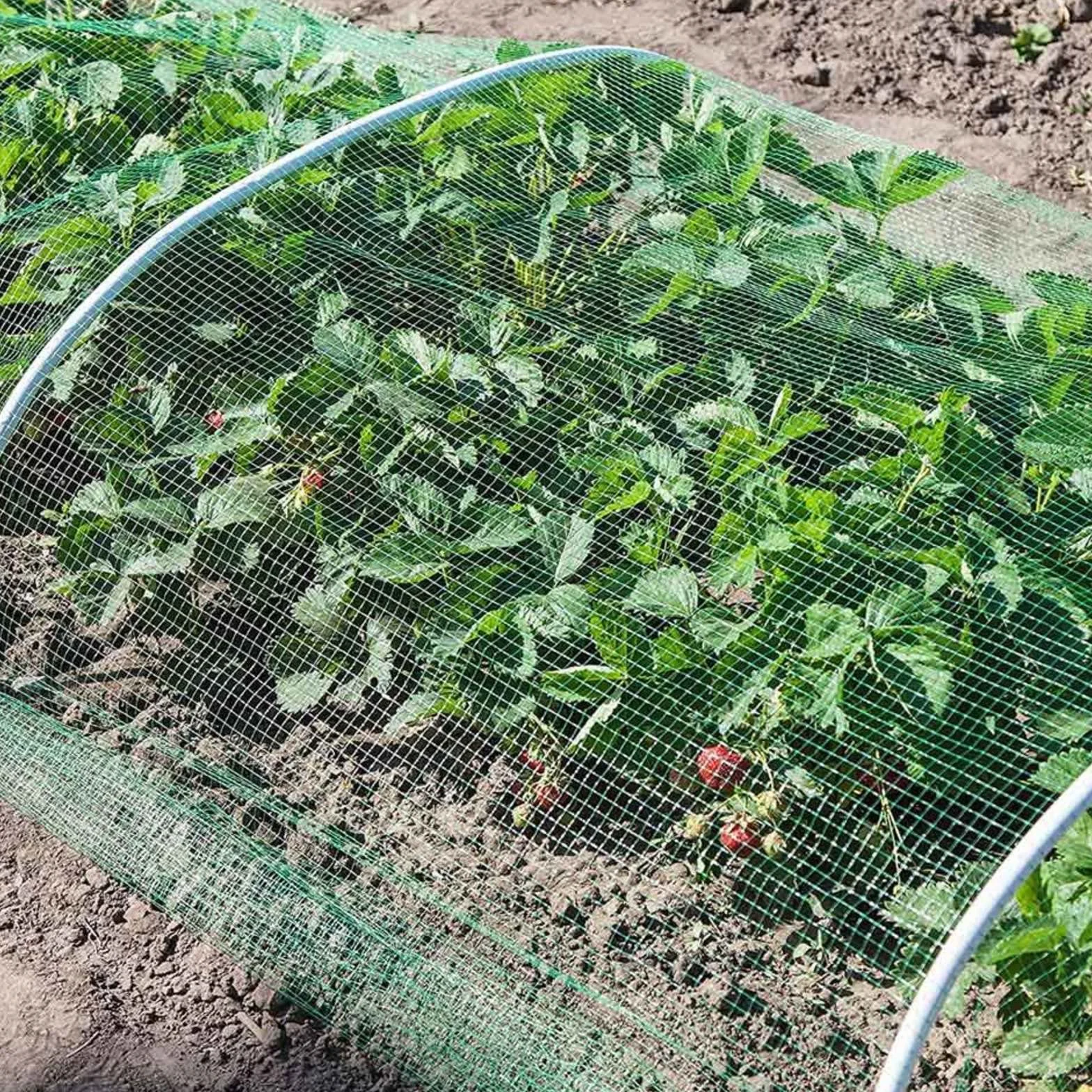 Pollo ProtectBird Malla repelente para aves de corral AntiP Balcón Plantas Frutas Árboles 2x10mGar