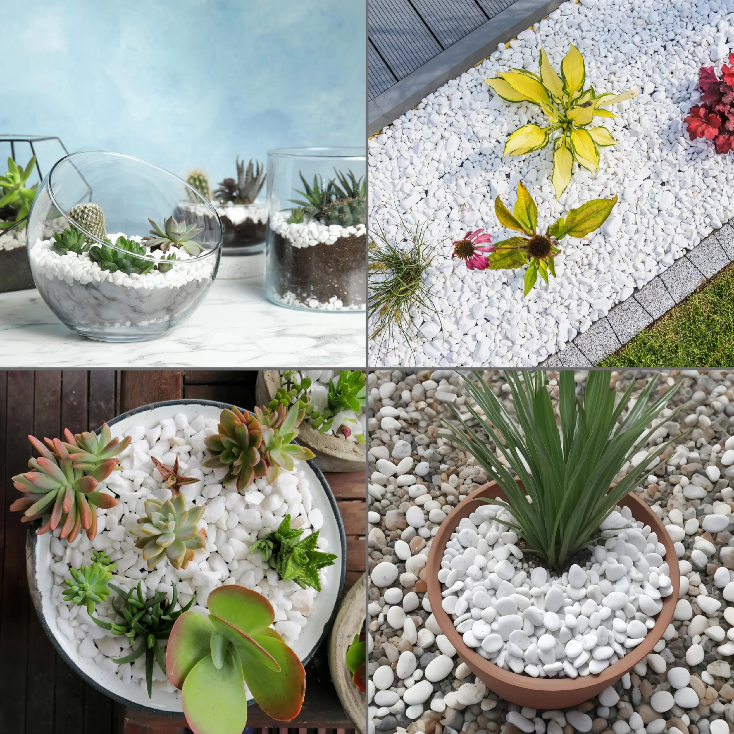 Natural White Stone Decorative Pebbles 1,35 kg - Aquarium, Terrarium, Planter, Vase Filler - Indoor Outdoor Garden Stones