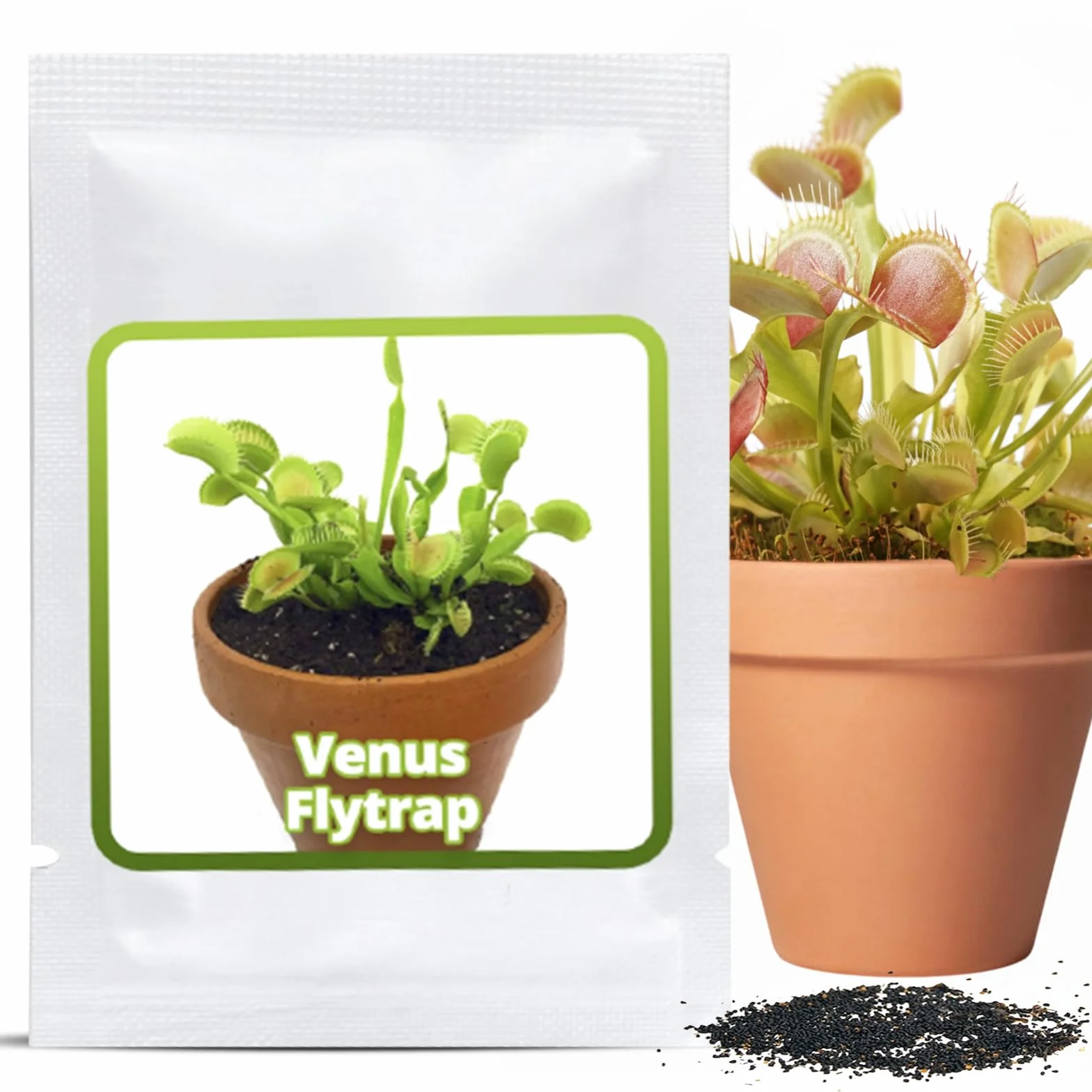 Venus Atrapamoscas Dionaea Muscipula Semillas 20 uds Planta Carnívora Interior