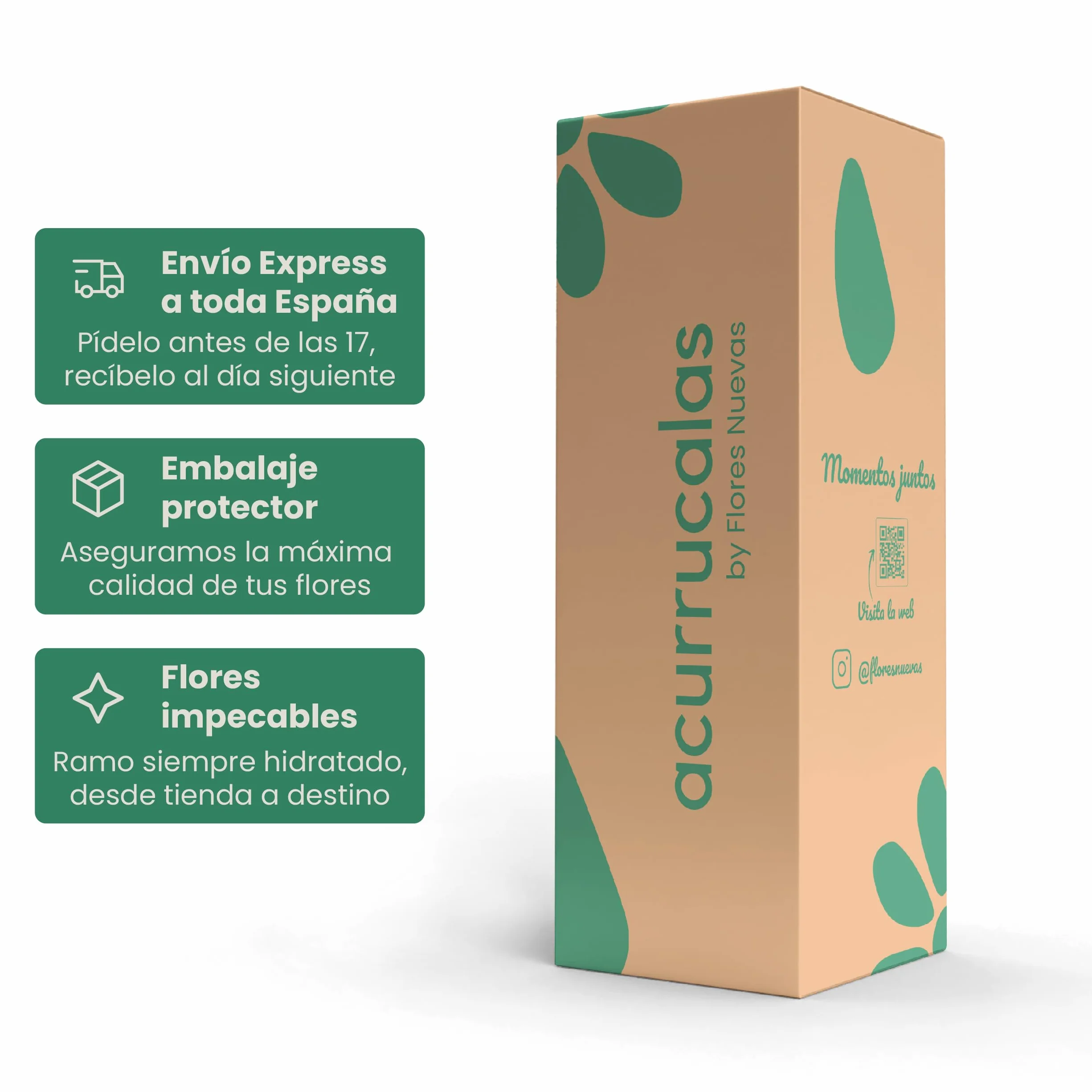 Acurrucalas® Ramo de Flores Rosas Rojas con Dedicatoria 12 Flores Frescas Naturales