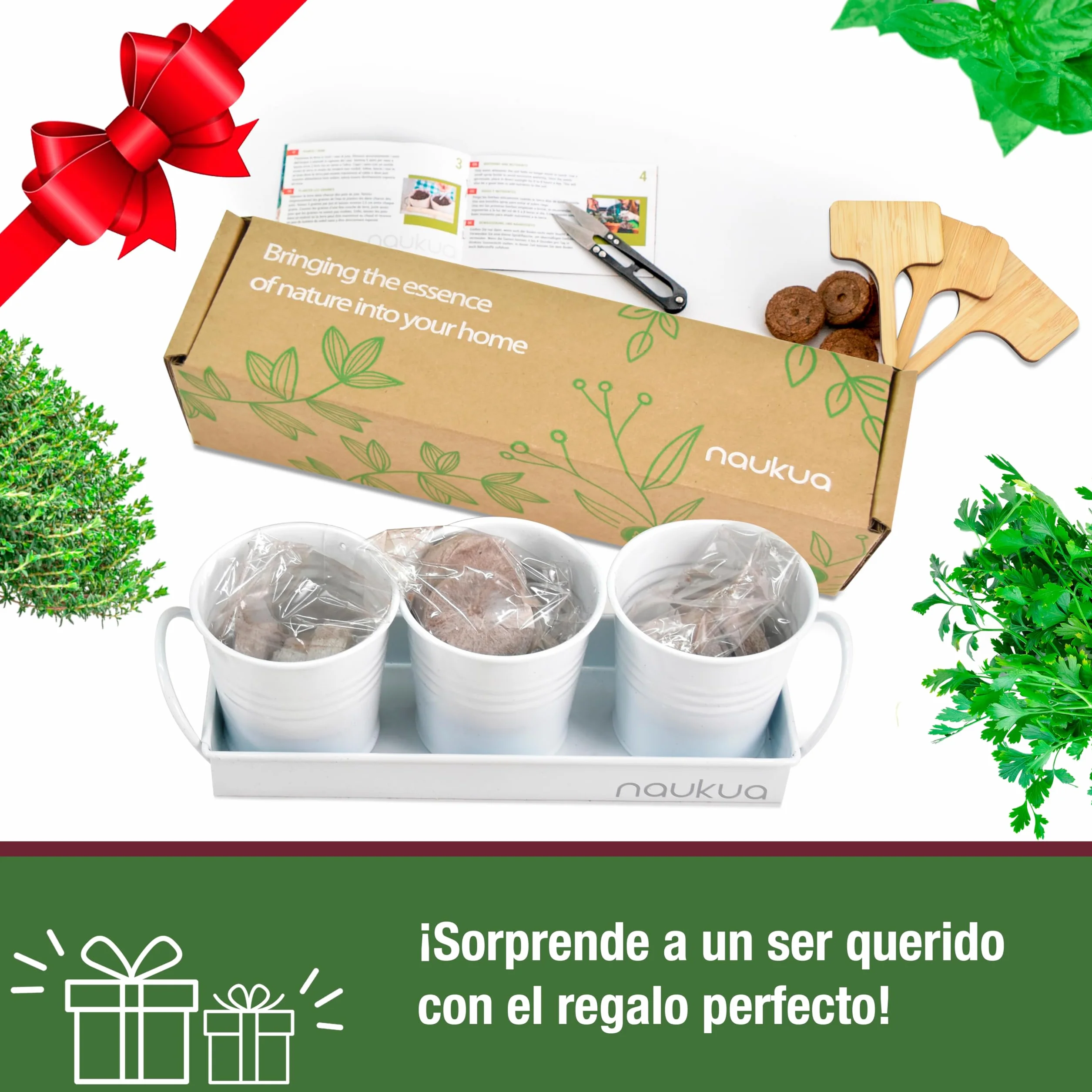 Kit Huerto Urbano Vintage Plantas Aromáticas Semillas Orgánicas España Tomillo Cilantro Salvia