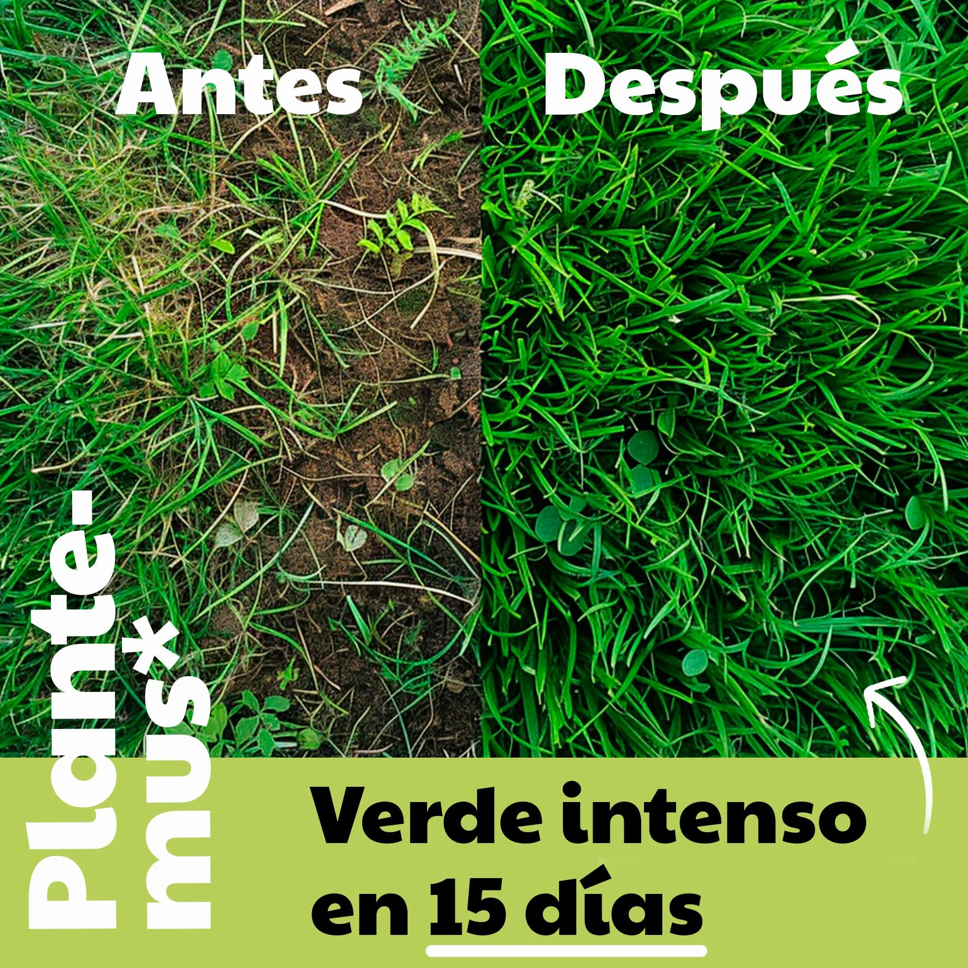PLANTEMUS Abono Césped Efecto Verde Turbo 350 m² Microcristales Ultrasolubles 10 KG