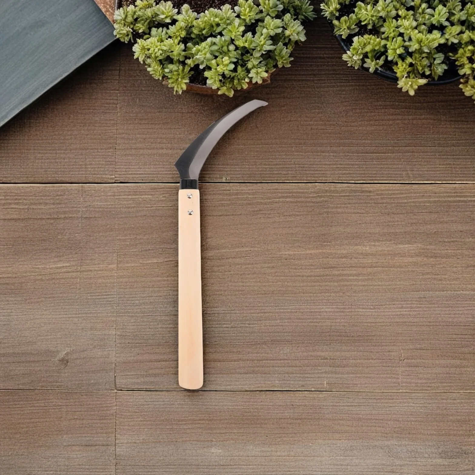 TOYANDONA Hoz Dentada de Acero con Mango de Madera para Corte de Césped y Maleza Herramienta Multifuncional para Jardinería Pesca y Deshierbe Tamaño Mediano Corte Preciso y Resistente