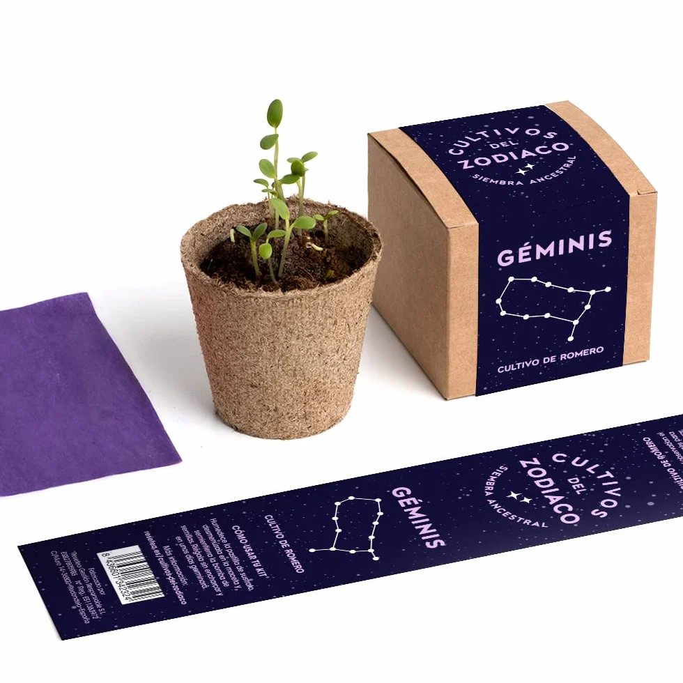 Cultivos del Zodiaco Géminis Semillas de Romero Kit de cultivo con bomba de semillas sustrato y maceta Regalo original horóscopo