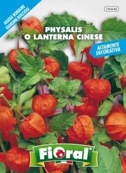 Semillas de flor en bolsita para aficionados