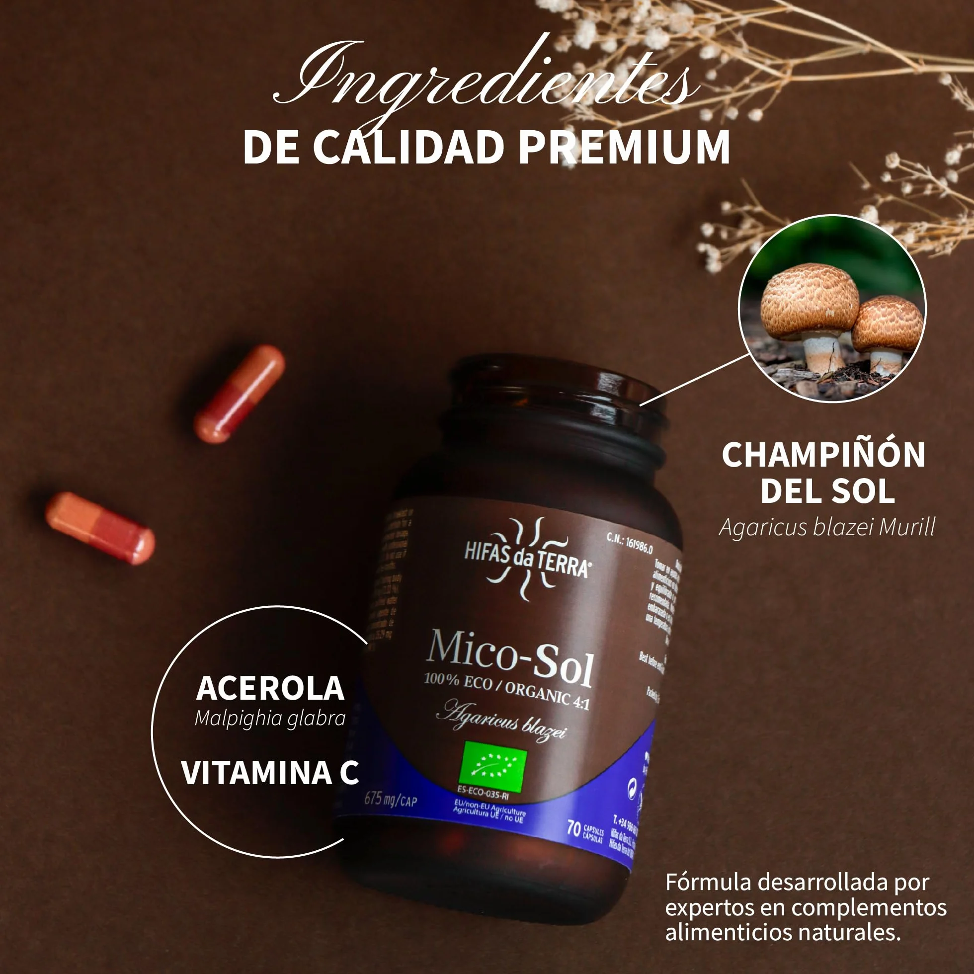 HIFAS DA TERRA Mico-Sol Extracto Puro de Champiñón de Sol + Vitamina C natural - 70 Cápsulas