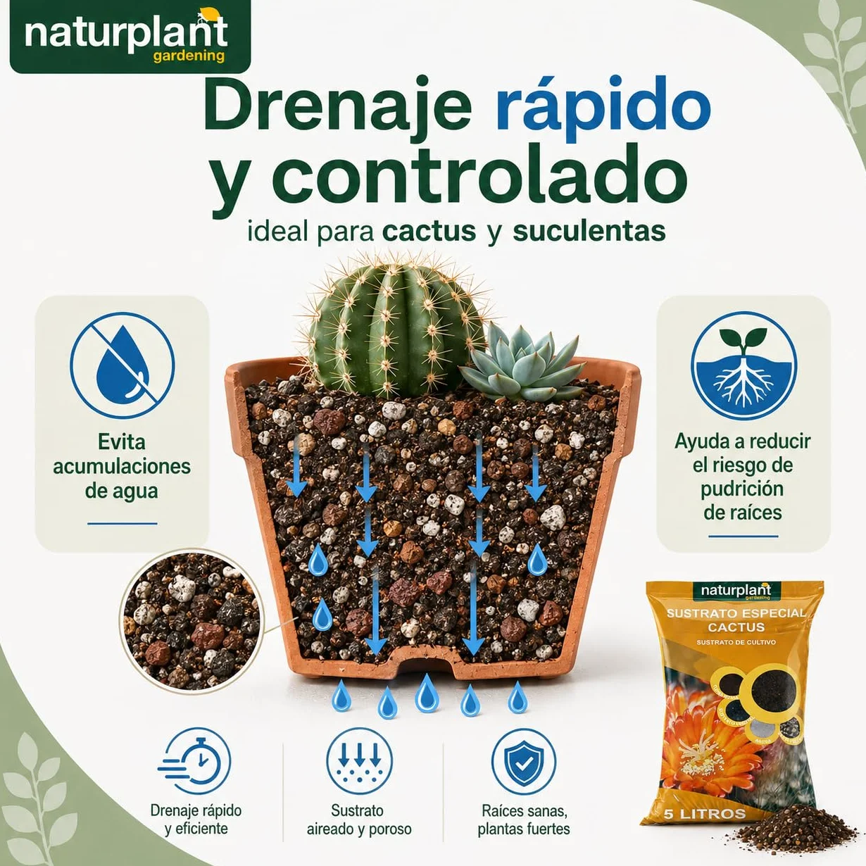 Sustrato Especial para Cactus 5 litros Naturplant
