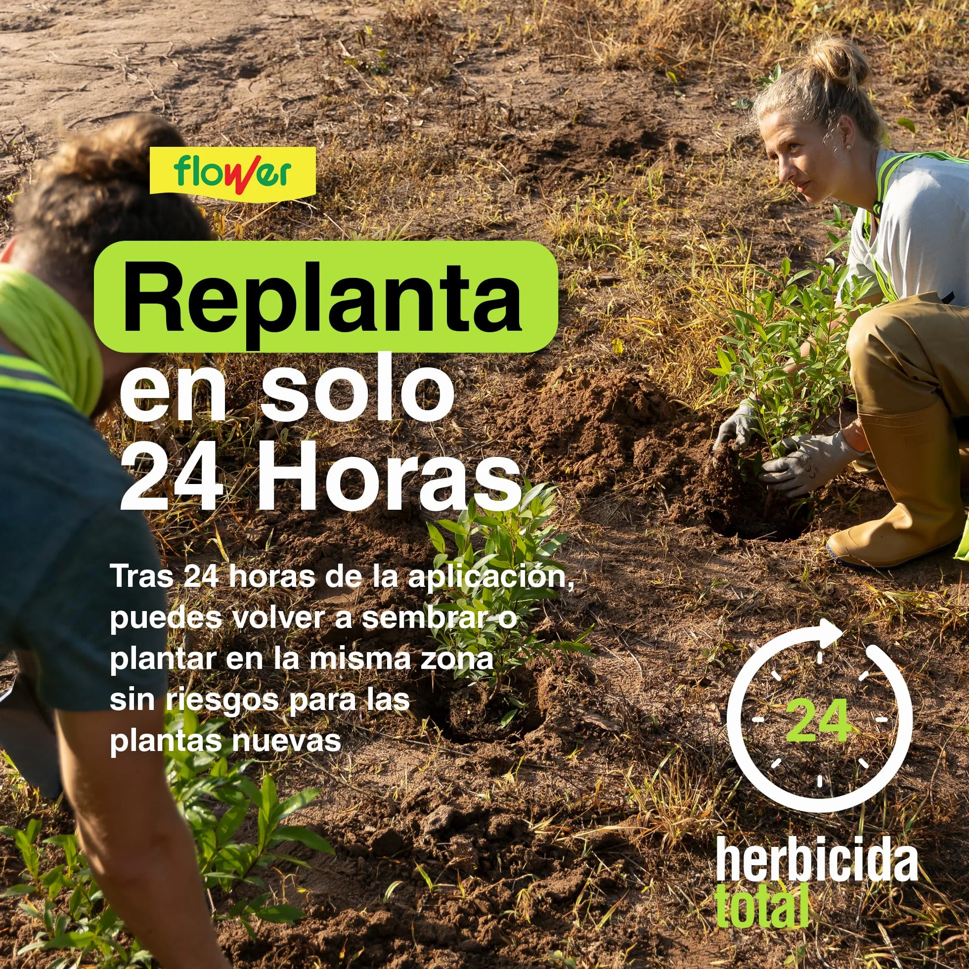 FLOWER Herbicida Total Ecológico 150 m² 250ml Elimina Malas Hierbas y Musgos Alternativa Glifosato