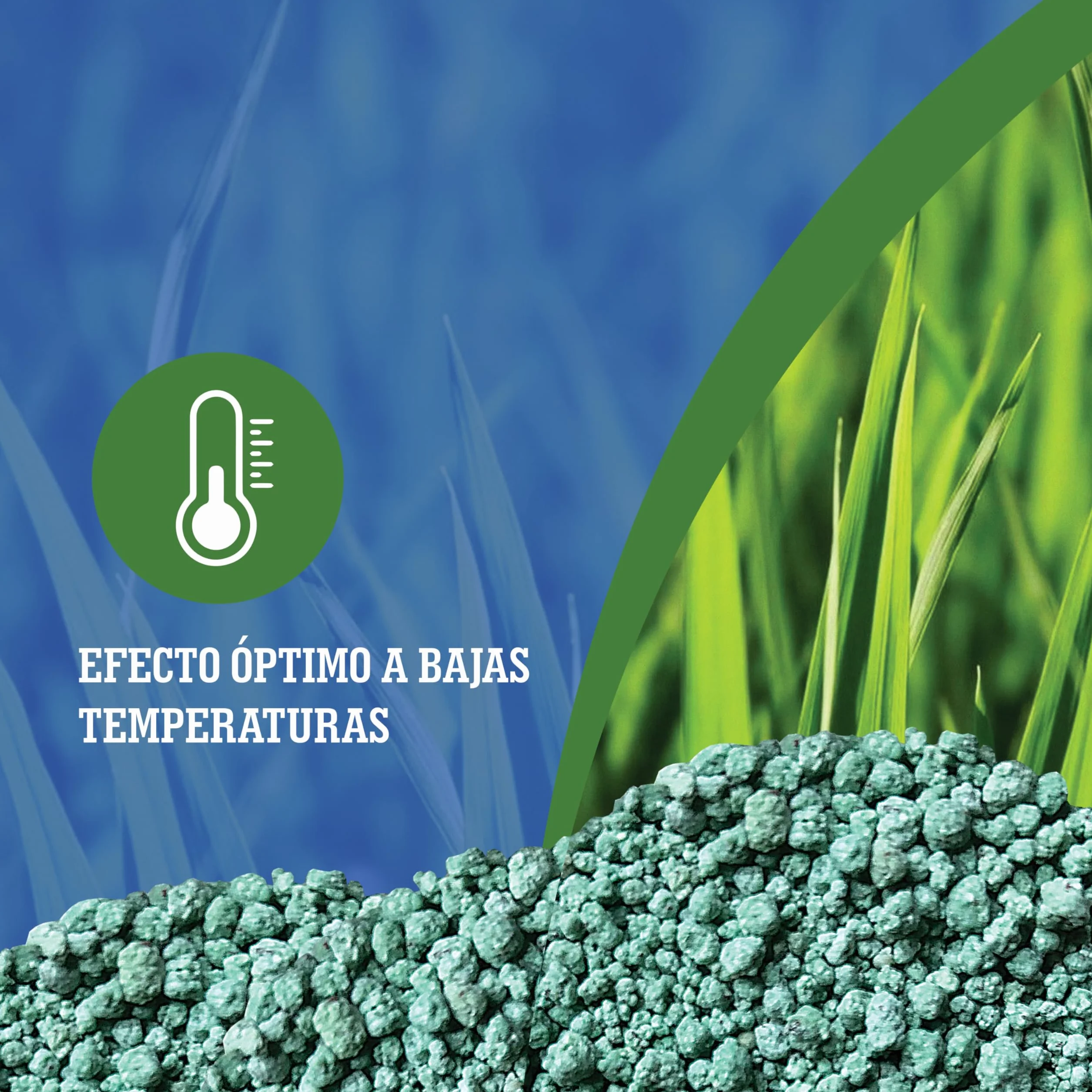 LERAVA abono césped primavera 70 m² fertilizante liberación lenta protección fúngica 1,7 kg