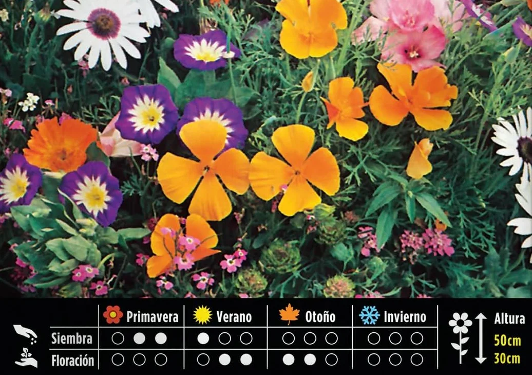 Semillas Batlle Mezcla Flores ENANAS anuales, Multicolor