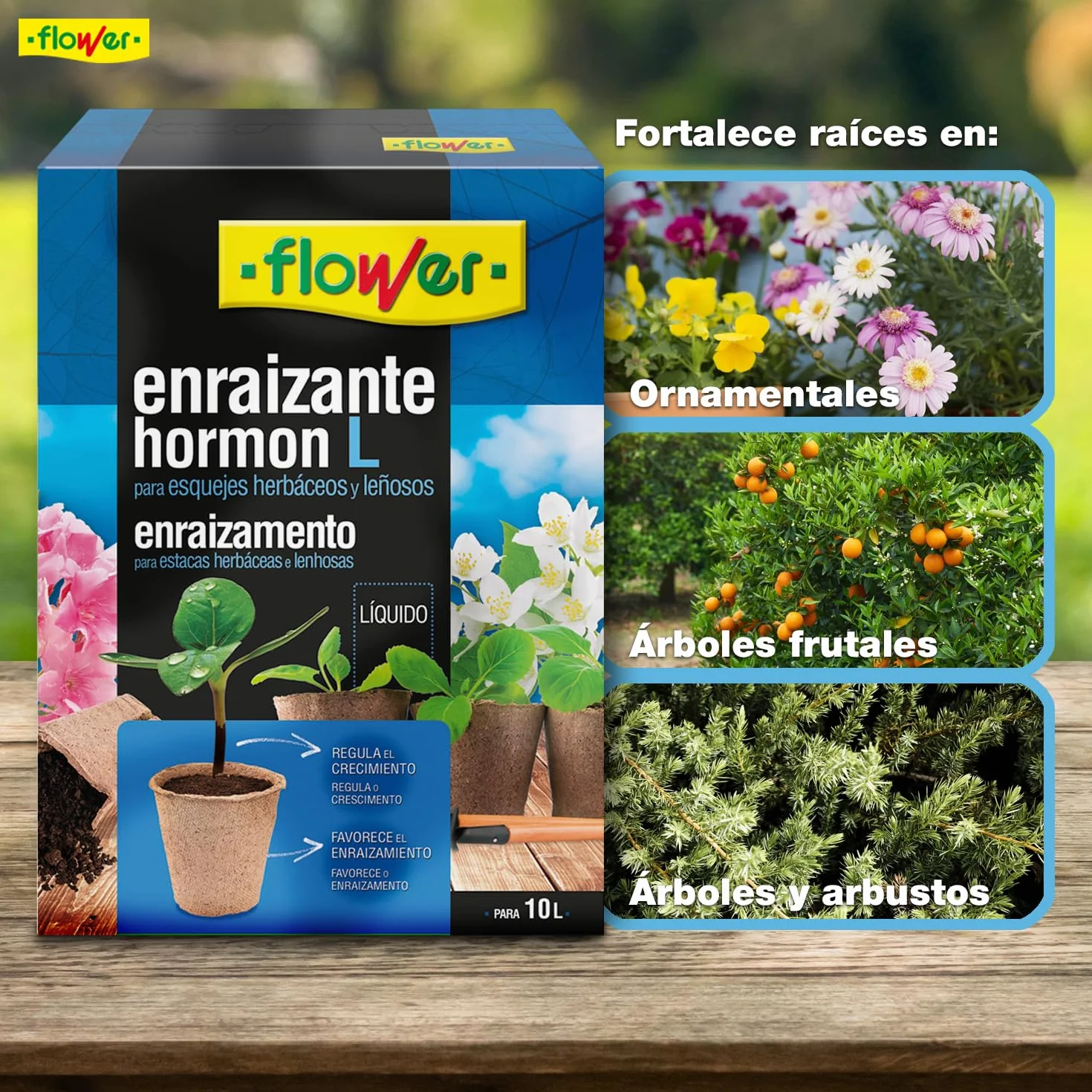 Enraizante Líquido Hormon L 50 ml para Esquejes y Trasplantes con Aminoácidos y Vitaminas