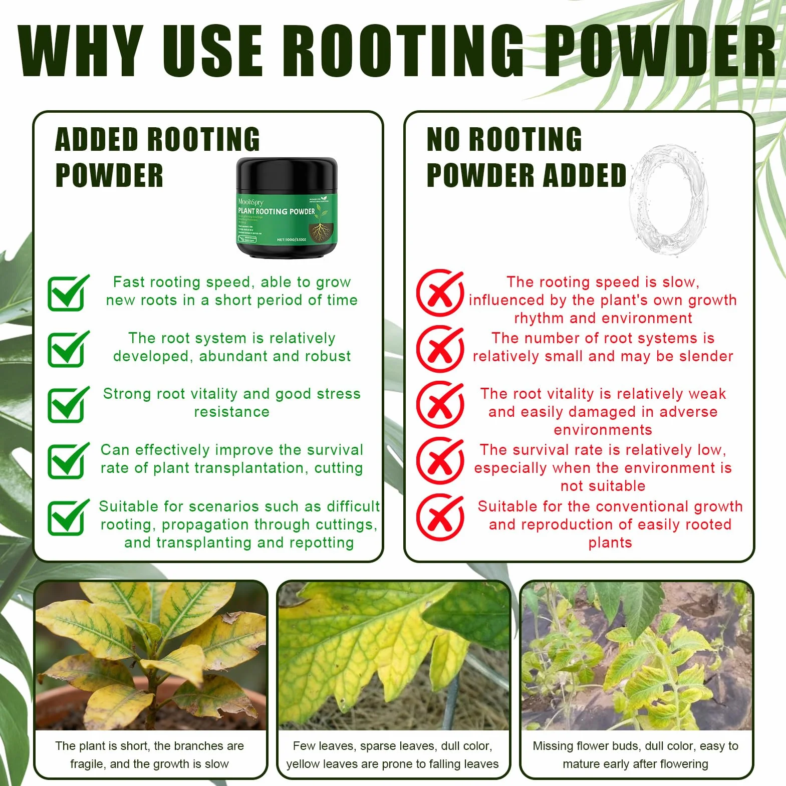 Activador de raíces en polvo rápido 100g con cuchara para esquejes interior y exterior