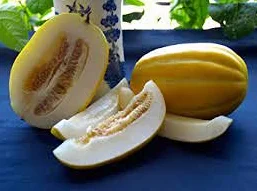 Nasiona Melona Koreańskiego 25 szt.