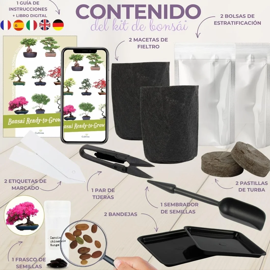 CULTIVEA Kit First Bonsai Autocultivo de Bonsáis con Semillas y Herramientas Cercis chinensis