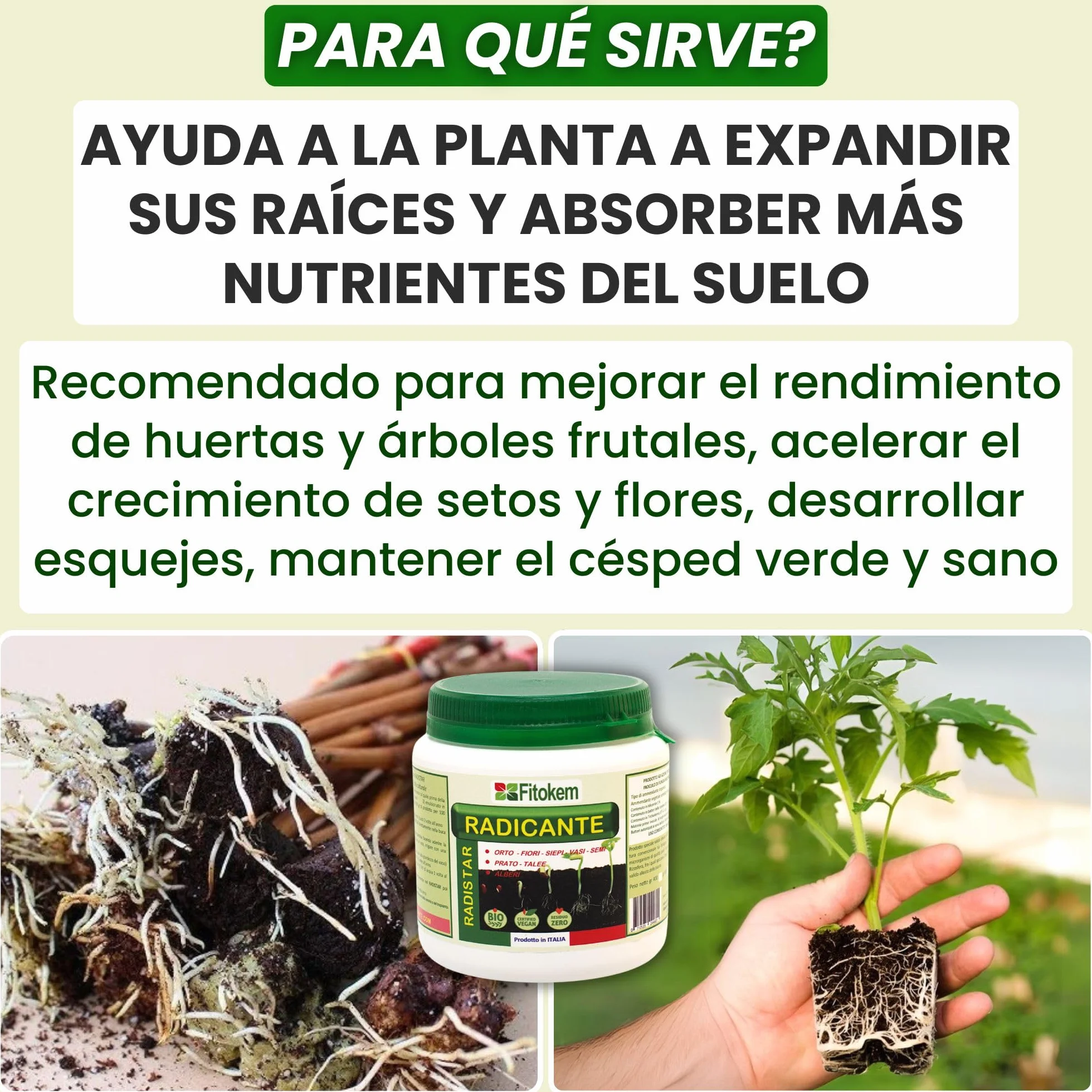 FITOKEM Radistar Hormonas de Enraizamiento en Polvo 800 gr Enraizante para Esquejes Fortalecedor de Raices