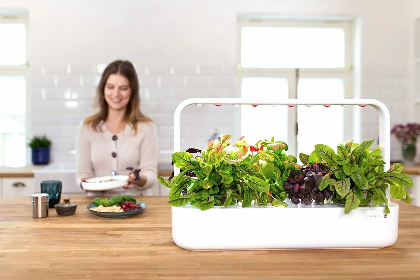 Click & Grow Recambio Cápsulas de Cultivo sin Semillas, Kit de 3