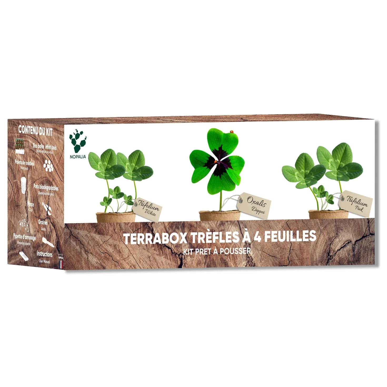 NOPALIA® Kit de Trébol de 4 Hojas de la Buena Suerte – Semillas Bio Oxalis Deppei, Trifolium Blanco & Rosa – Regalo para Mujer y Hombre – Jardín Interior DIY