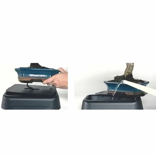 Planeta HUERTO | Riego para Bonsáis Hidrobonsai System – Sistema de Hidratación Automática para Bonsáis Saludables