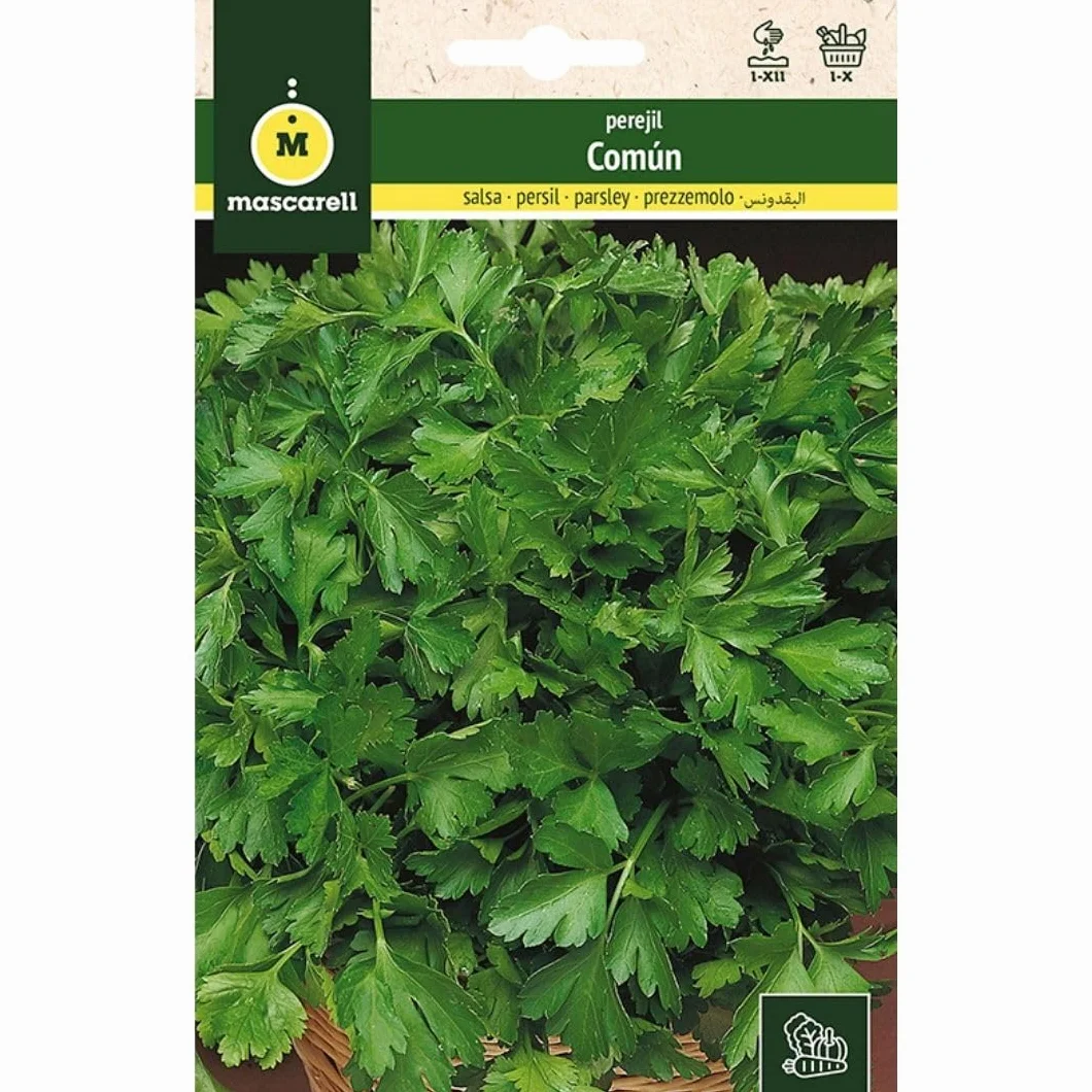 PEREJIL Semillas Huerto, PEREJIL COMÚN, Crea tu Propio Huerto Urbano, 15g