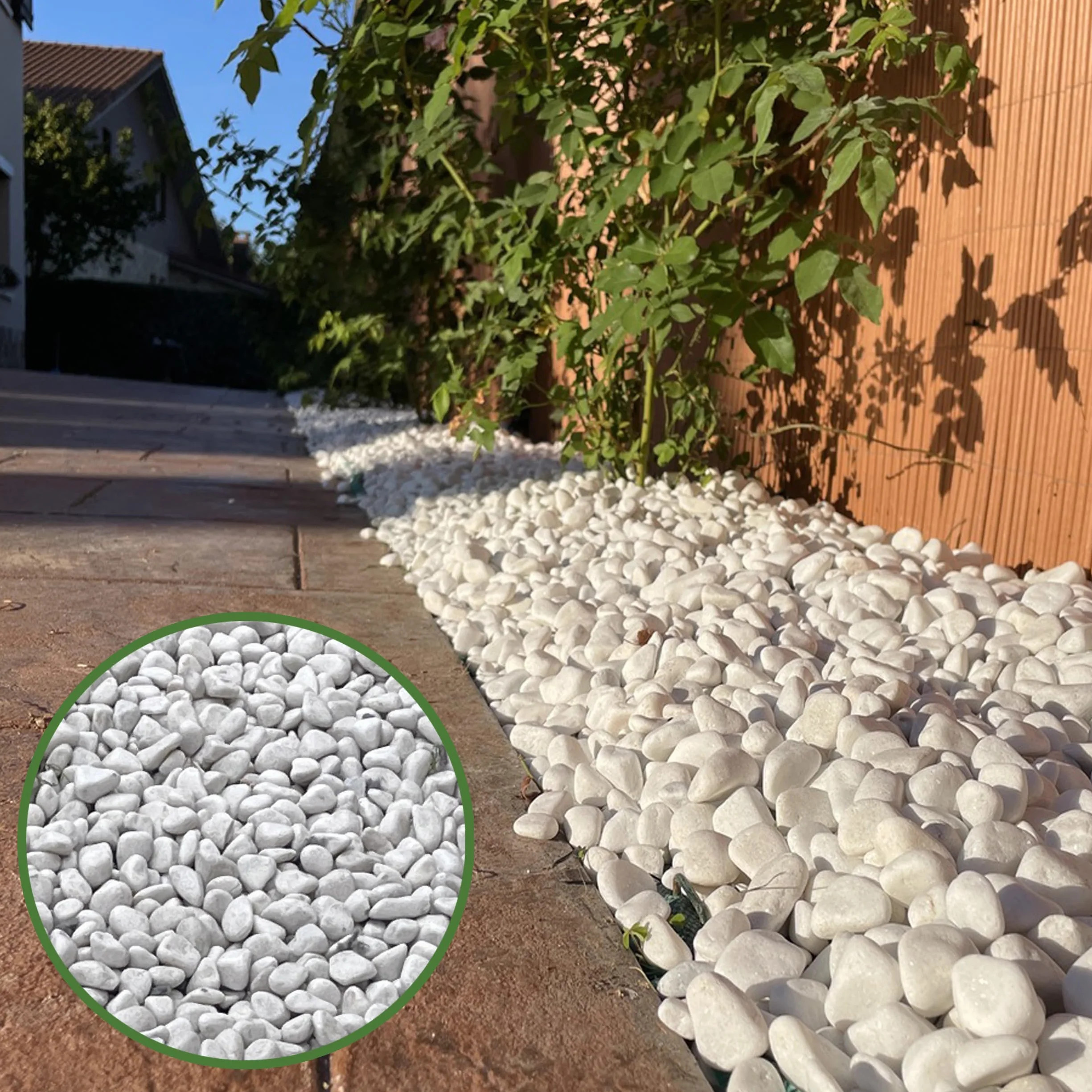 Piedras Decorativas Blancas 12-24mm Saco 20kg Canto Rodado Natural VLC Horticultura