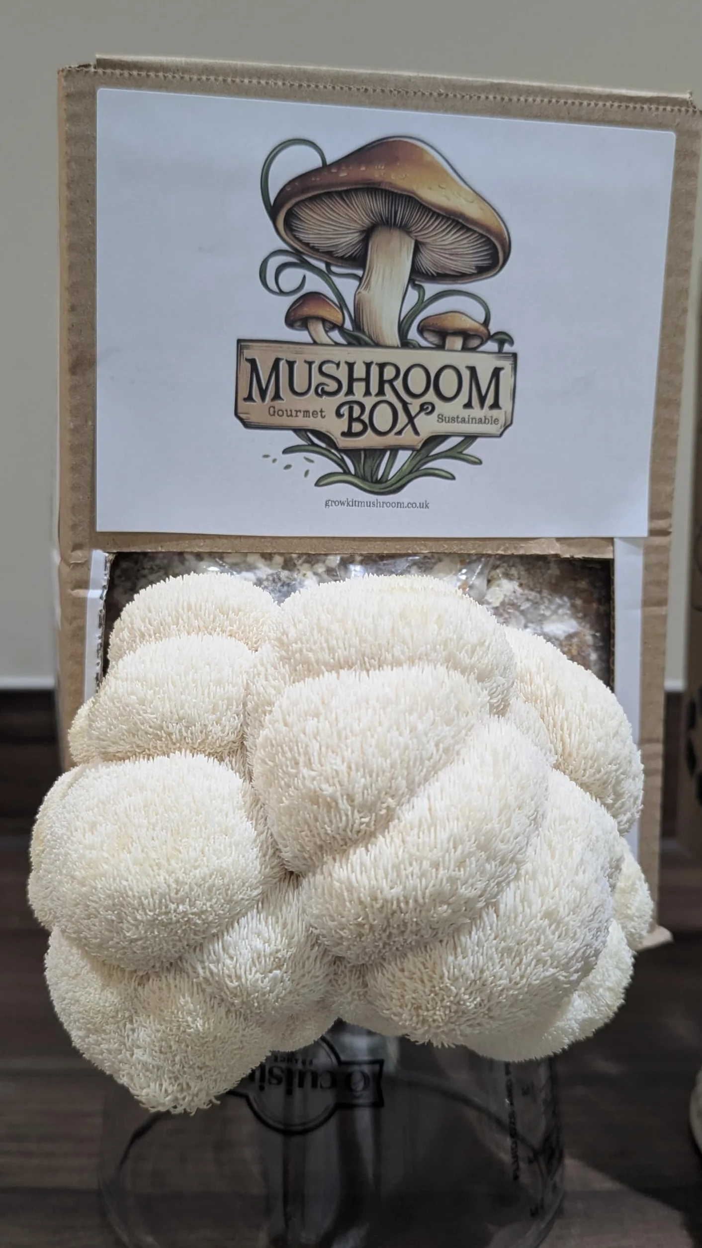 Nutrition Geeks Kit de cultivo de setas Lion's Mane Hericium erinaceus 1,8 kg