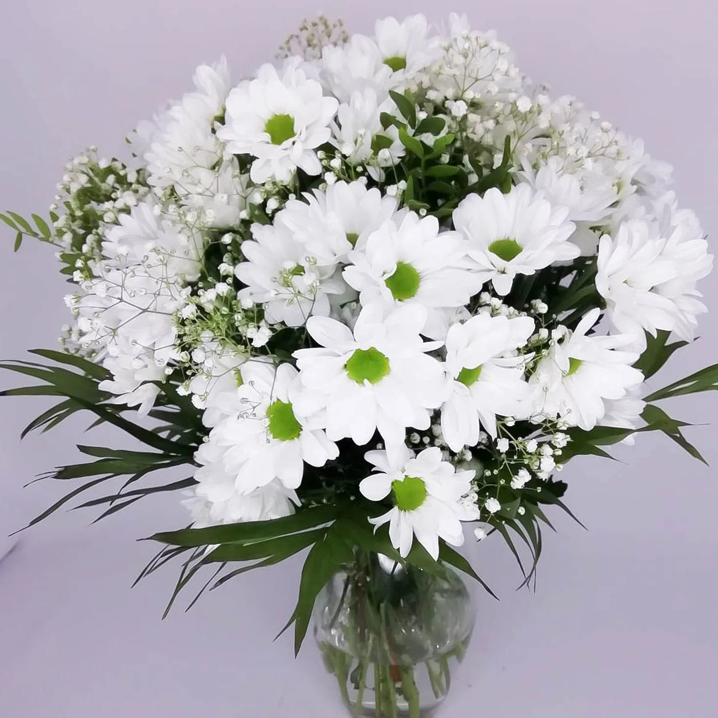 Ramo de flores naturales a domicilio Flores frescas Entrega gratis 24 horas Tarjeta dedicatoria Esperanza Blanco