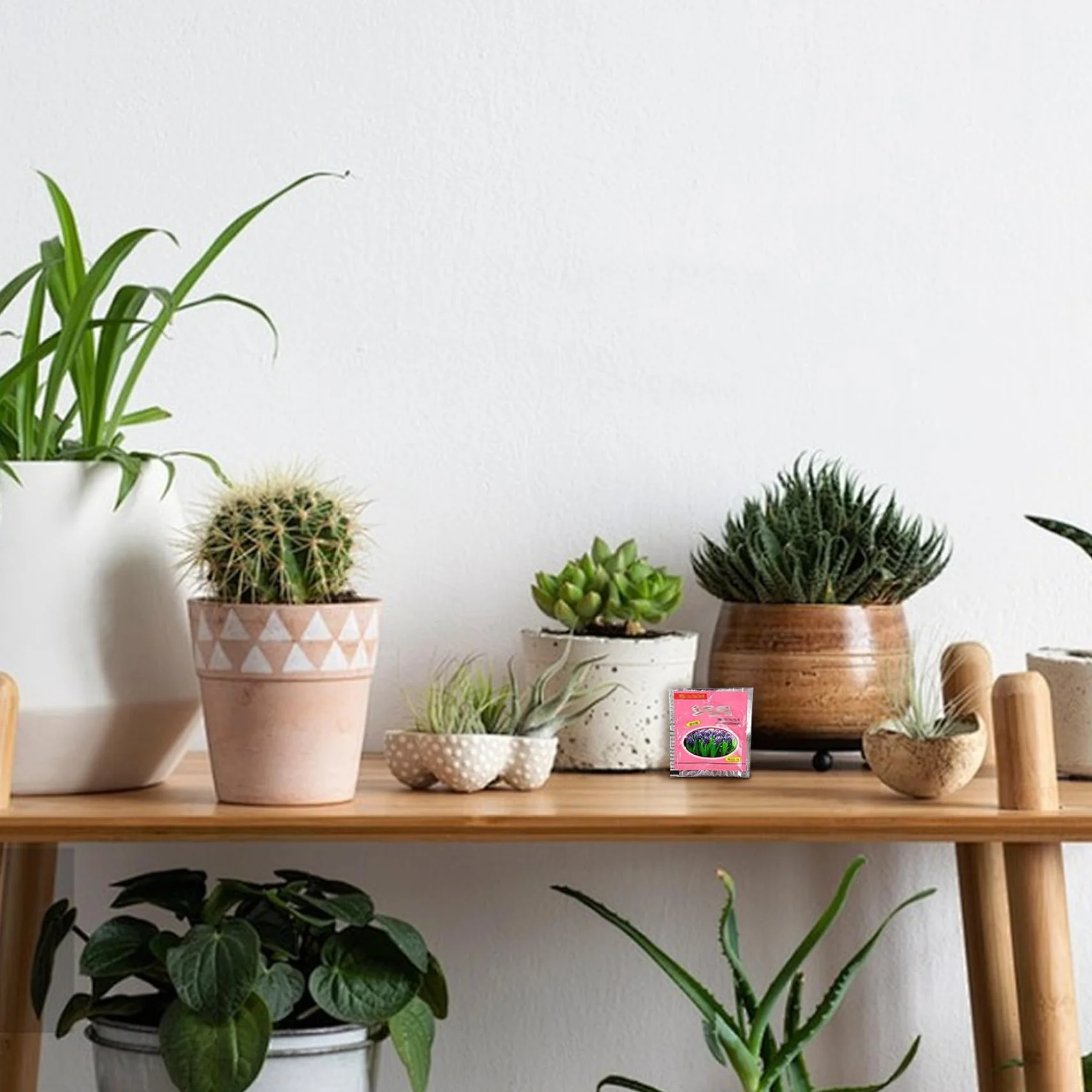 Hormona de enraizamiento | 10PCS 10g Polvo de ácido naftalenacético para esquejes de plantas