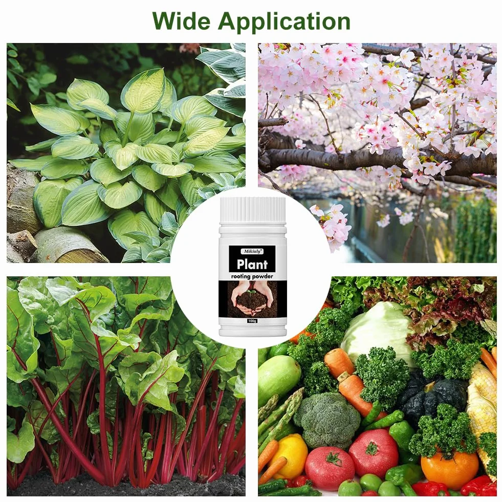 Polvo de Enraizamiento para Esquejes, Hormona de Enraizamiento, Fertilizante de Raíces (100g)