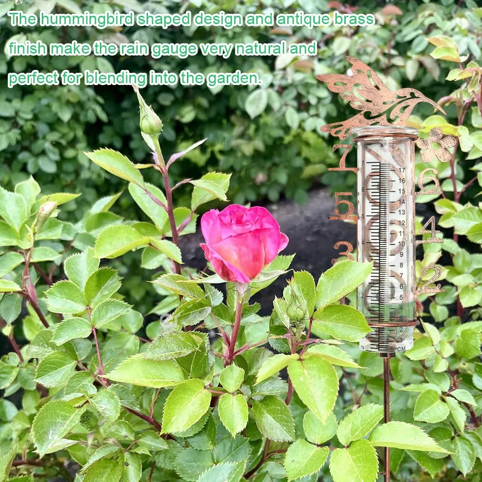 Pluviómetro de Jardín Colibrí Cristal 17 cm Medir Lluvia
