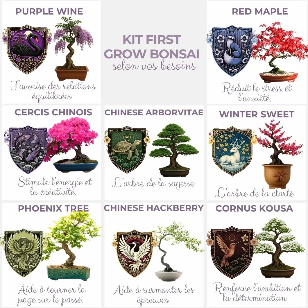 CULTIVEA Kit First Bonsai Autocultivo de Bonsáis con Semillas y Herramientas Cercis chinensis