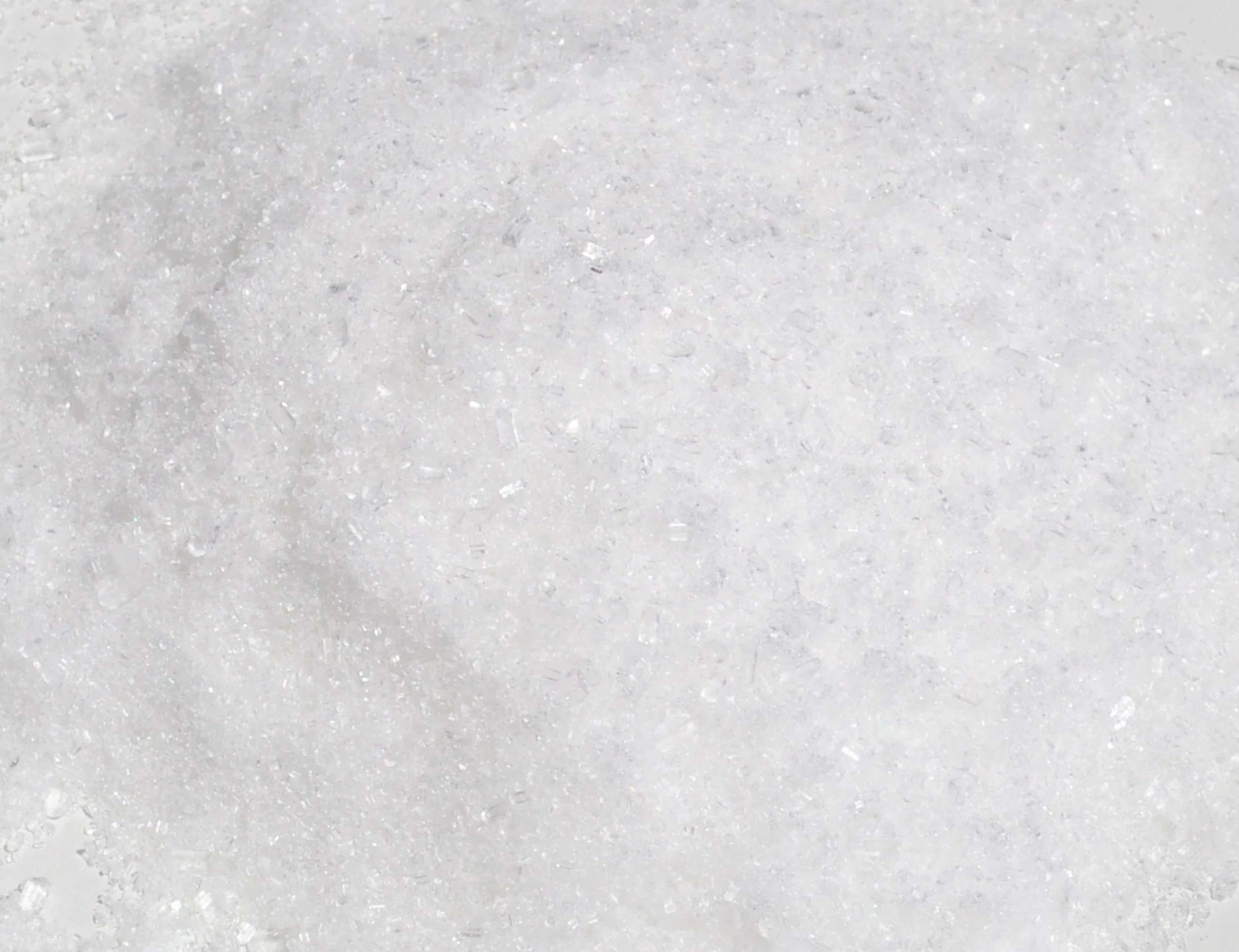CULTIVERS Abono Ecológico Antiamarronamiento Coníferas 1 kg