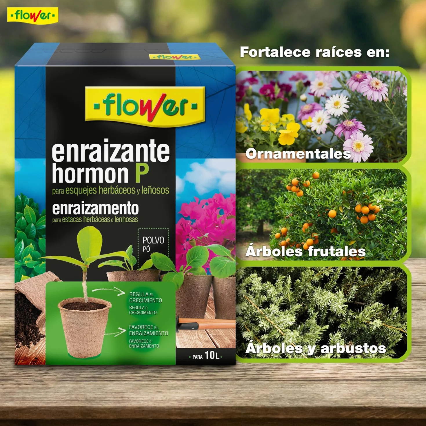 Enraizante Sólido Hormon P 50 g | Polvo Enraizante para Esquejes y Trasplantes