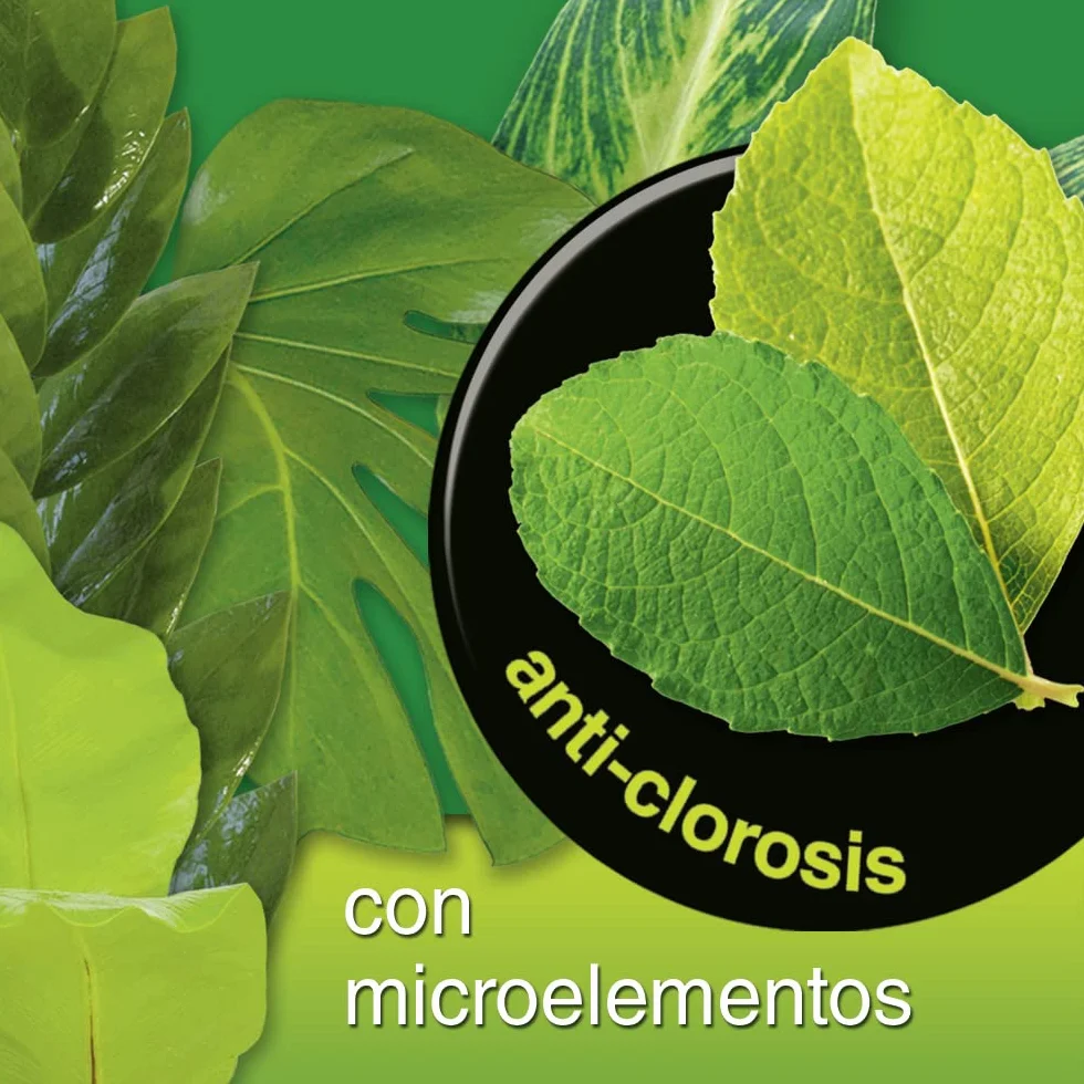 Ferro-Plus Reverdeciente 250g Corrector de Clorosis Aporta Magnesio y Micronutrientes