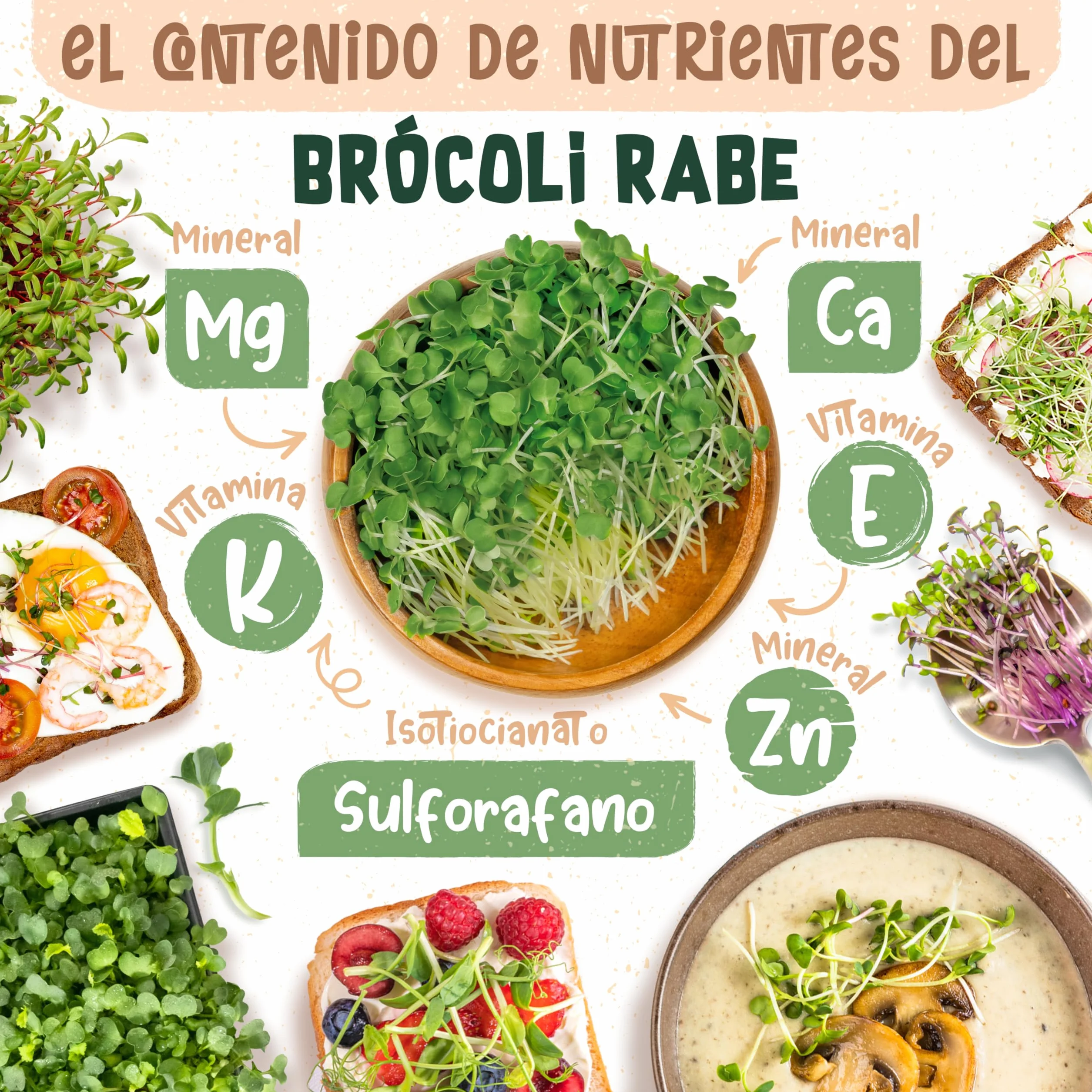 Semillas de brócoli ecológico ZenGreens® - Brotes de cime di rapa - Microgreens - 10g, 200g, 500g