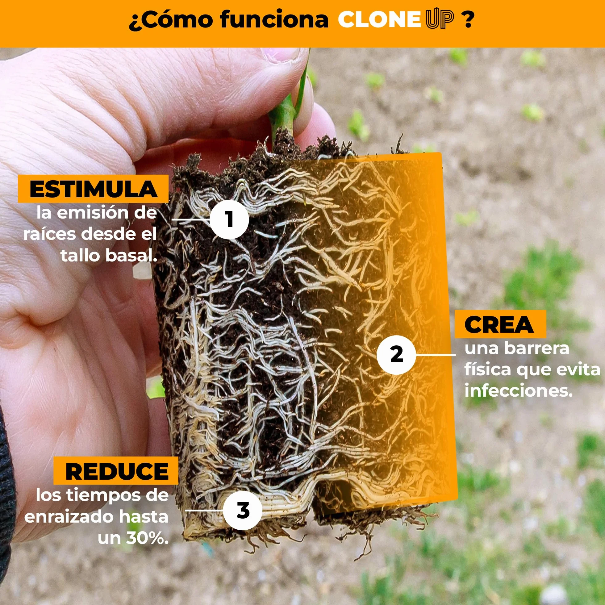 UP NUTRIENTS Gel Estimulador de Raíces Clone Up 70 ml Enraizante Orgánico para Esquejes