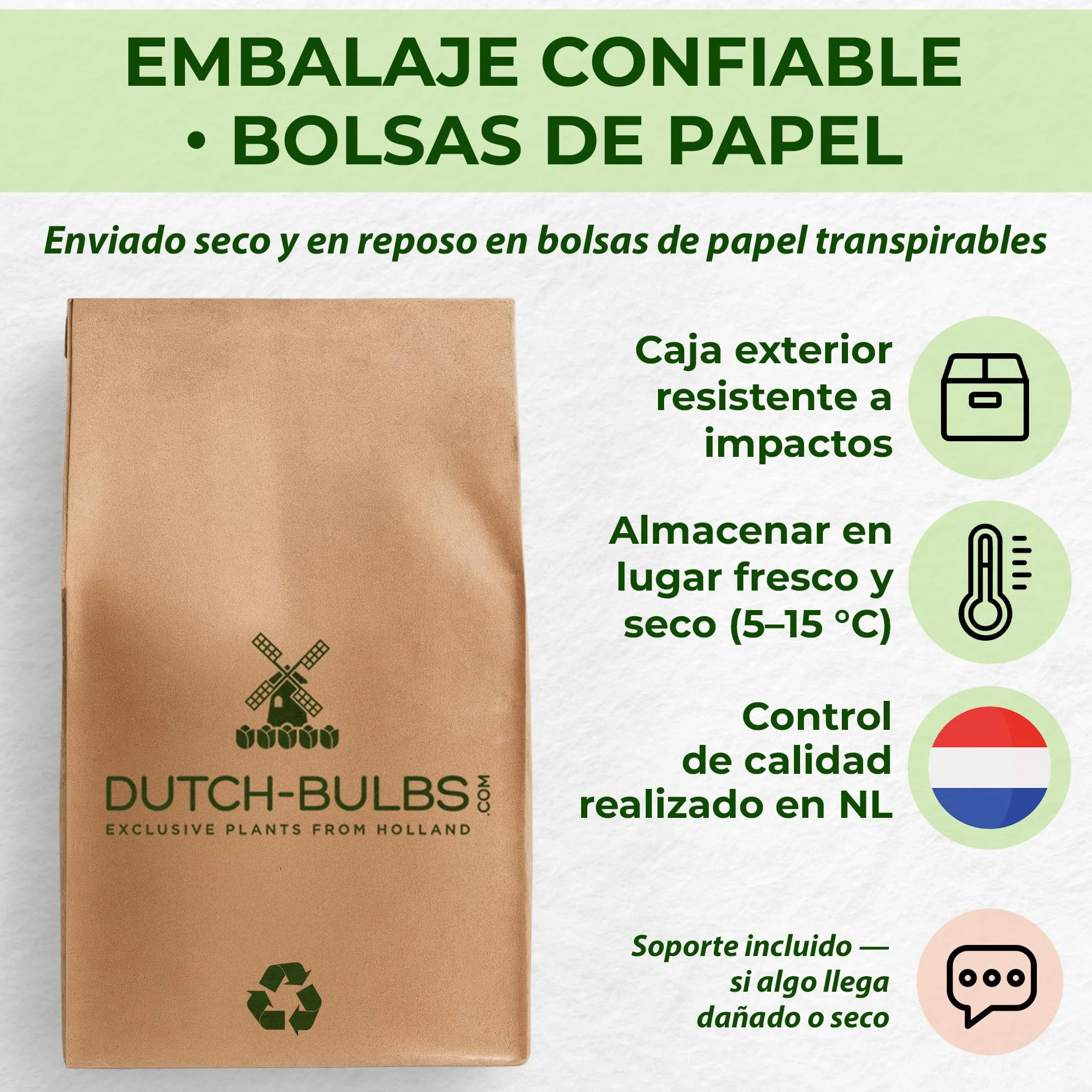 Bulbos de Anémona de Caen 50 Piezas - Flores Perennes Resistentes al Invierno para Macetas y Jardines