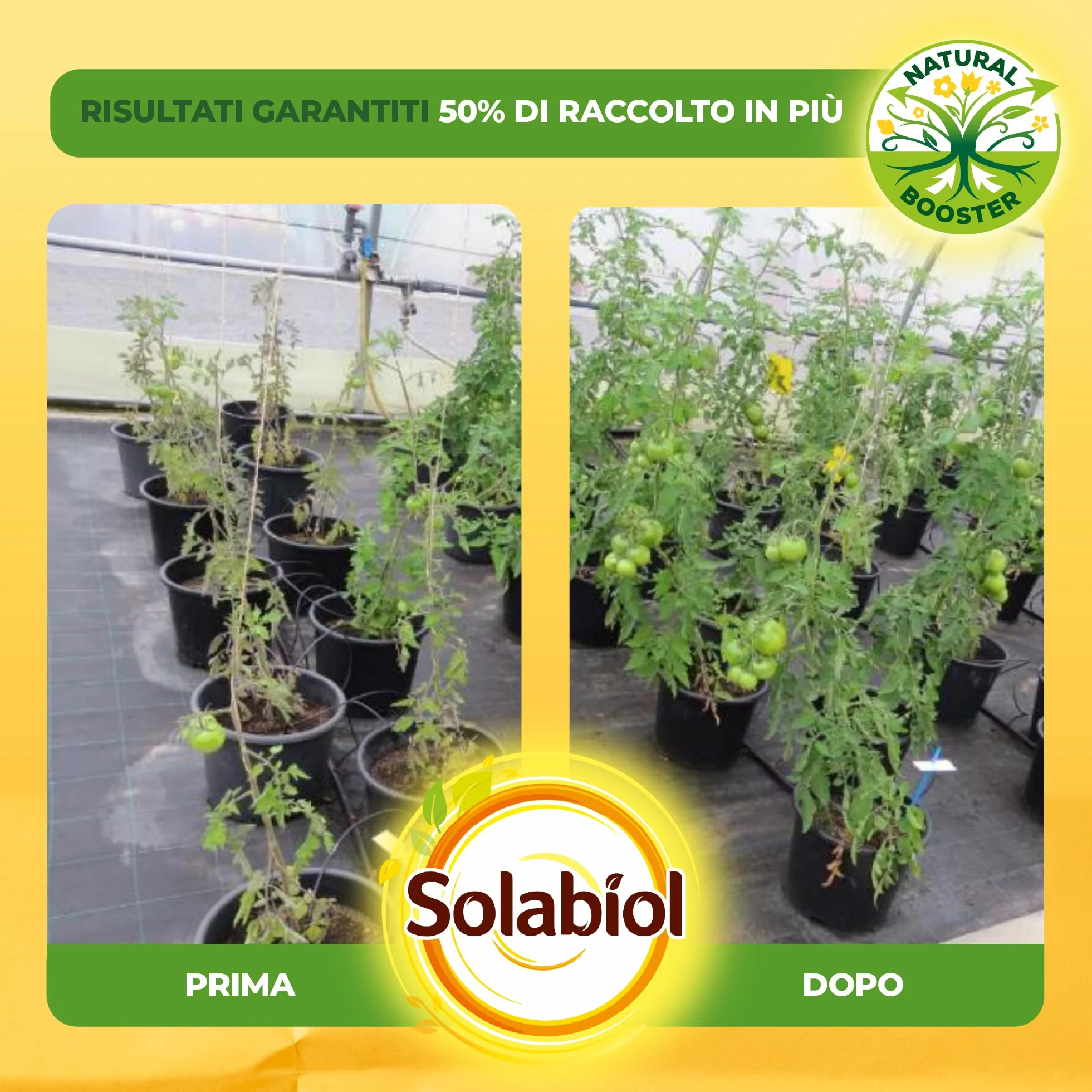 Solabiol Fertilizante tomates 100% orgánicos con estimulador radicular