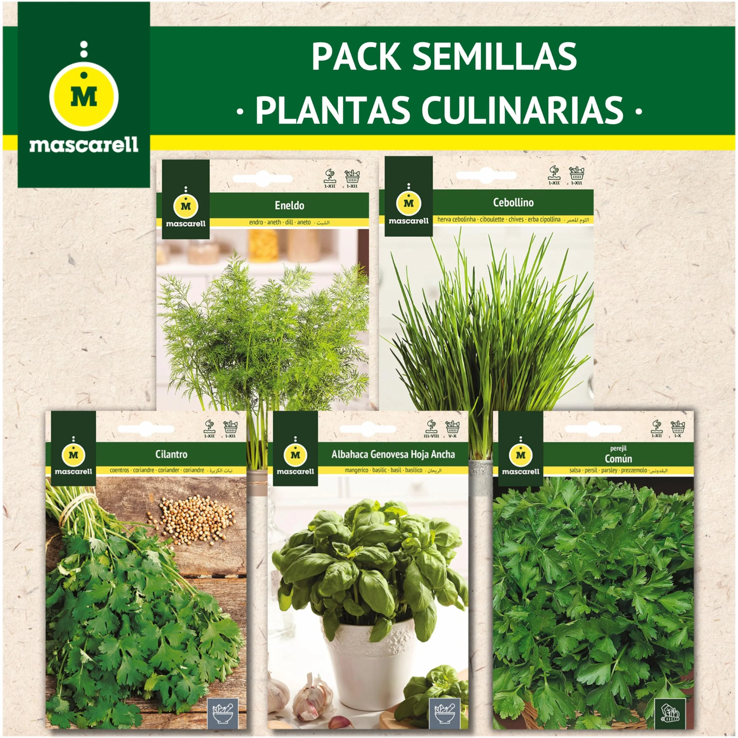 Mascarell Semillas Pack Semillas Plantas Culinarias Kit Huerto en Casa