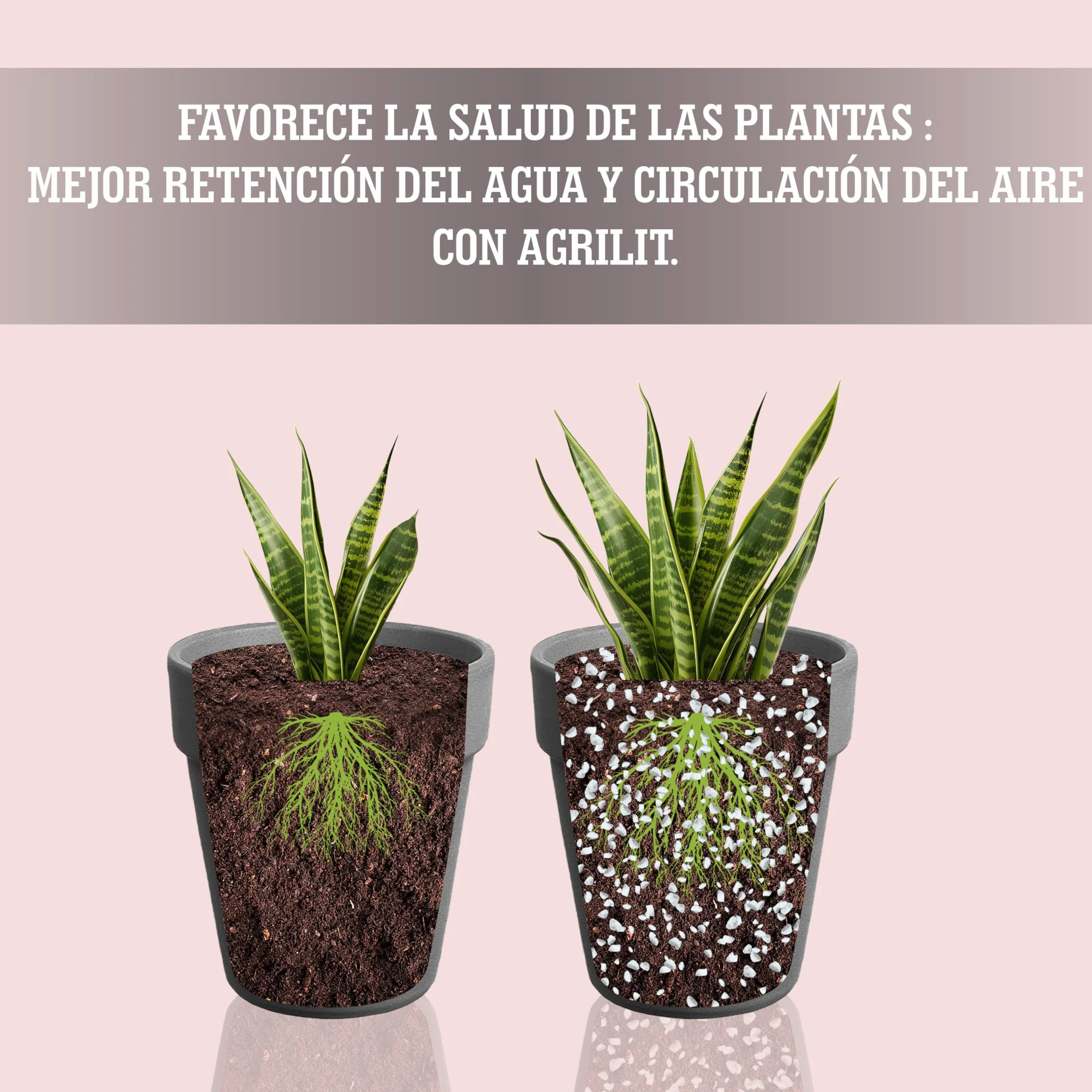 LERAVA Perlite pour Plante 3 L - Naturelle Améliore Drainage Aération