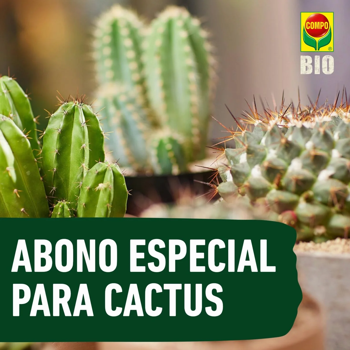 COMPO Bio Huerto Urbano Fertilizante para cactus, suculentas, líquido con potasio, 500 ml