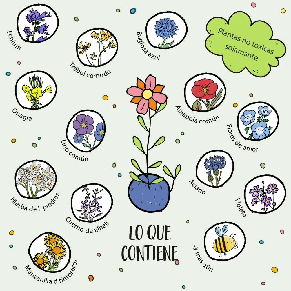 Canicas de flores ecológicas 25 bolas colores semillas regalo niños