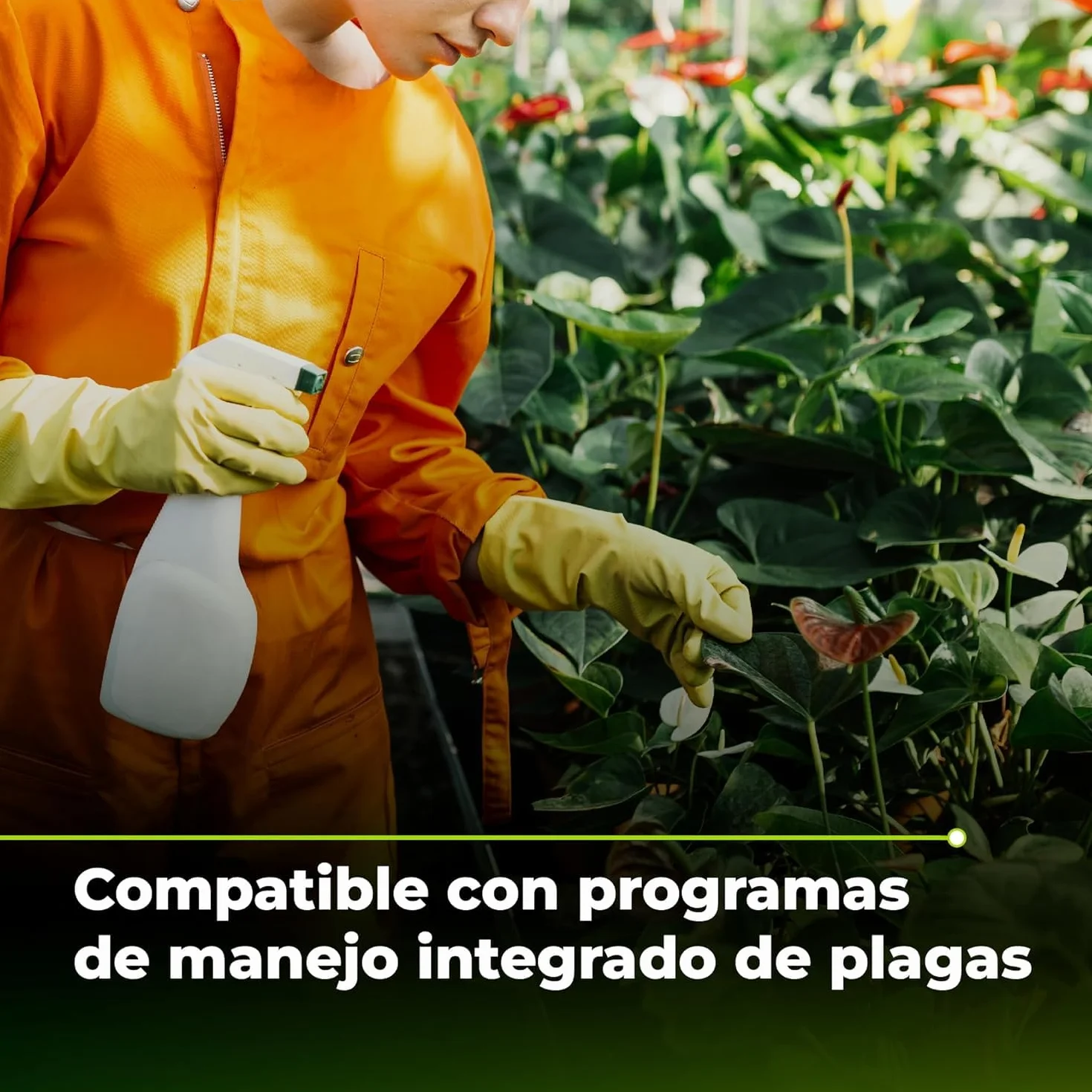 TRABE Bacillus Thuringiensis 40g Ecológico Protección contra Orugas