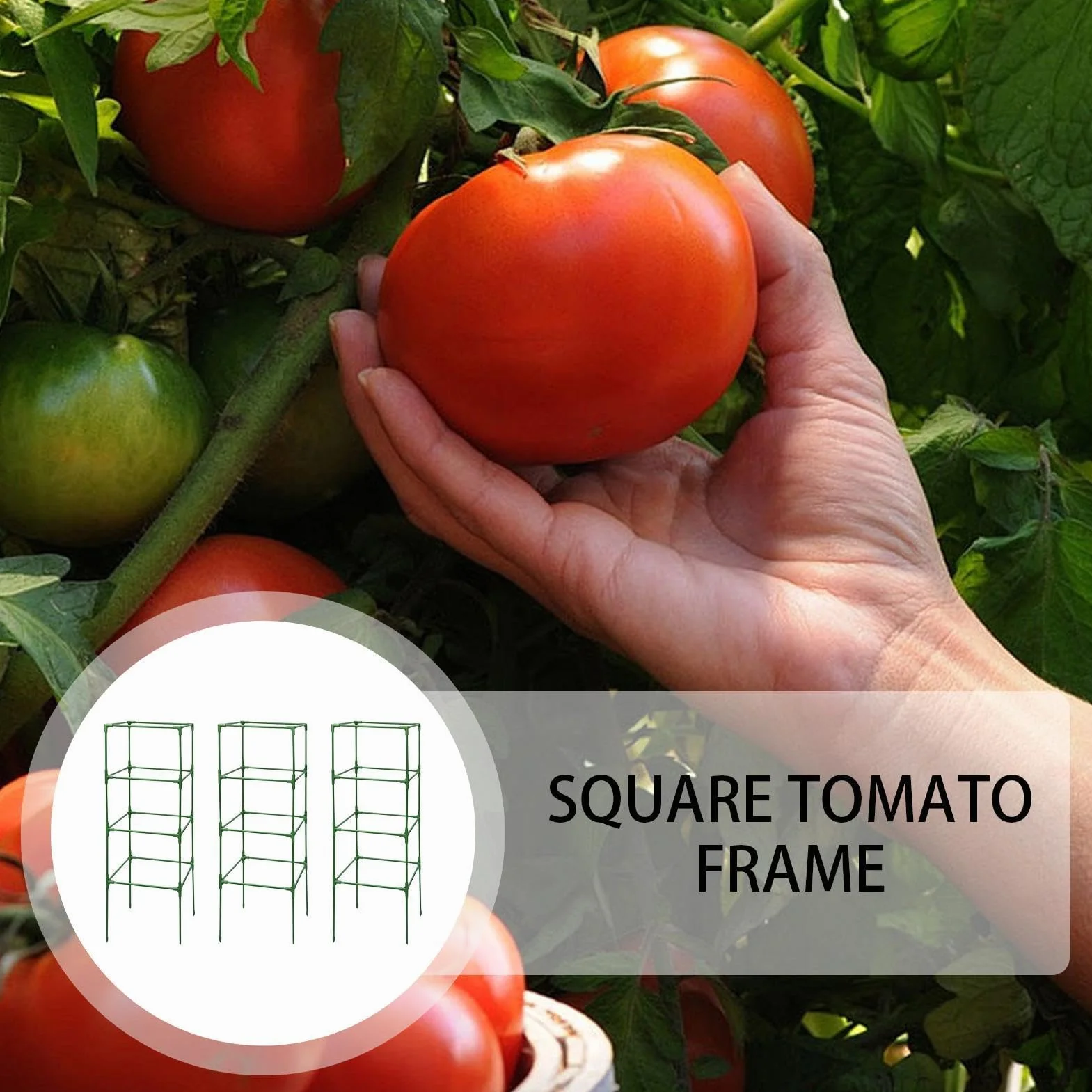 Entutorado para Tomates Soporte Cuadrado Ajustable en Altura de 3 Piezas | Tutor de Plantas Resistente para Judías Pepinos Verduras Rosas Peonías Macetas Bancal Elevado Jardín Patio Césped