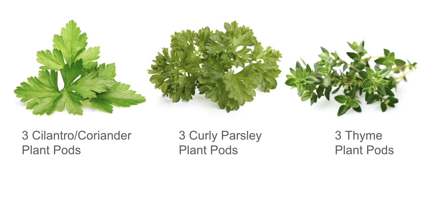 Click & Grow Plant Pod Steak Mix 9pcs