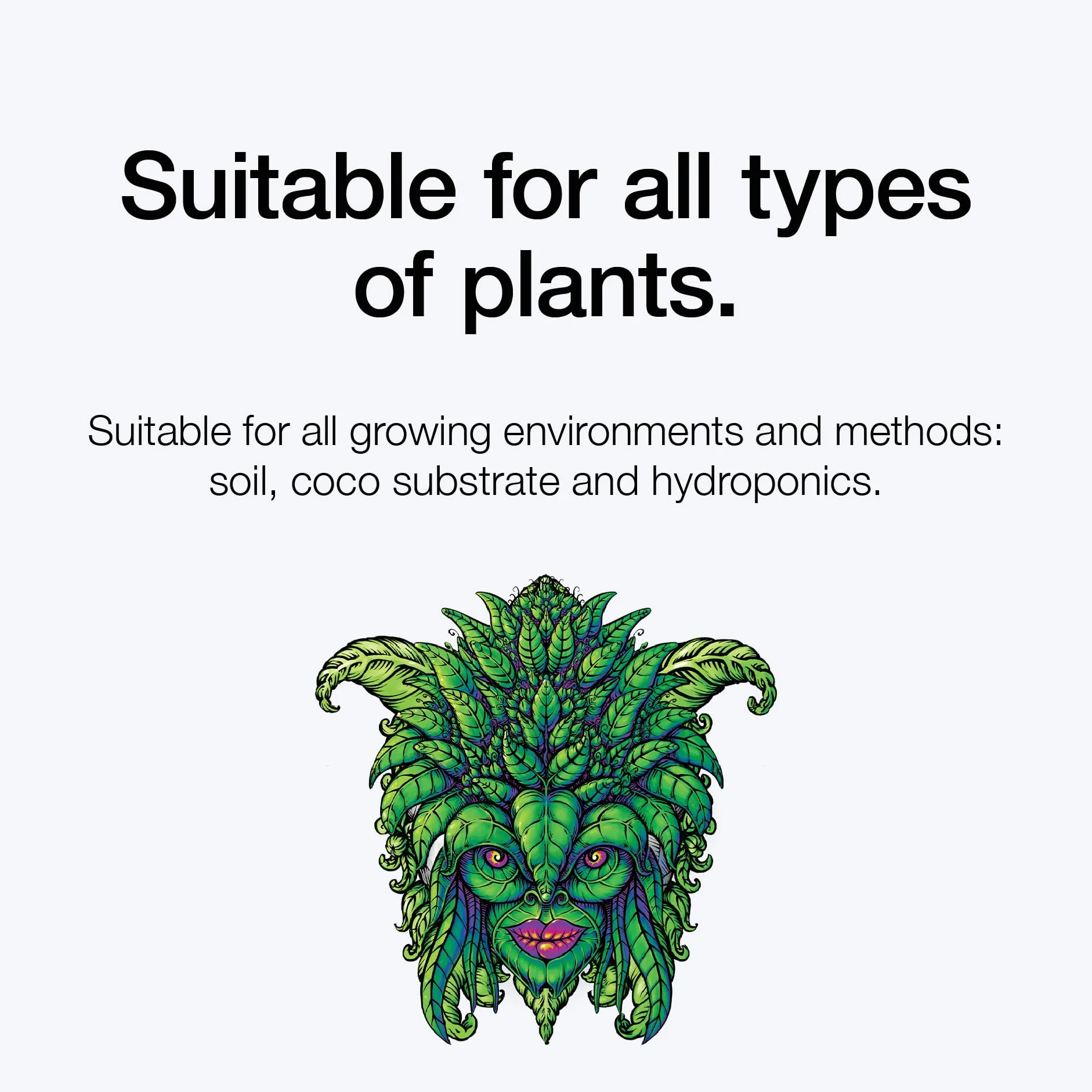 Bloom Booster (250 ML) - Estimulador de floración Bud Builder Estimulador de floración para cogollos más grandes, floración explosiva y producción masiva