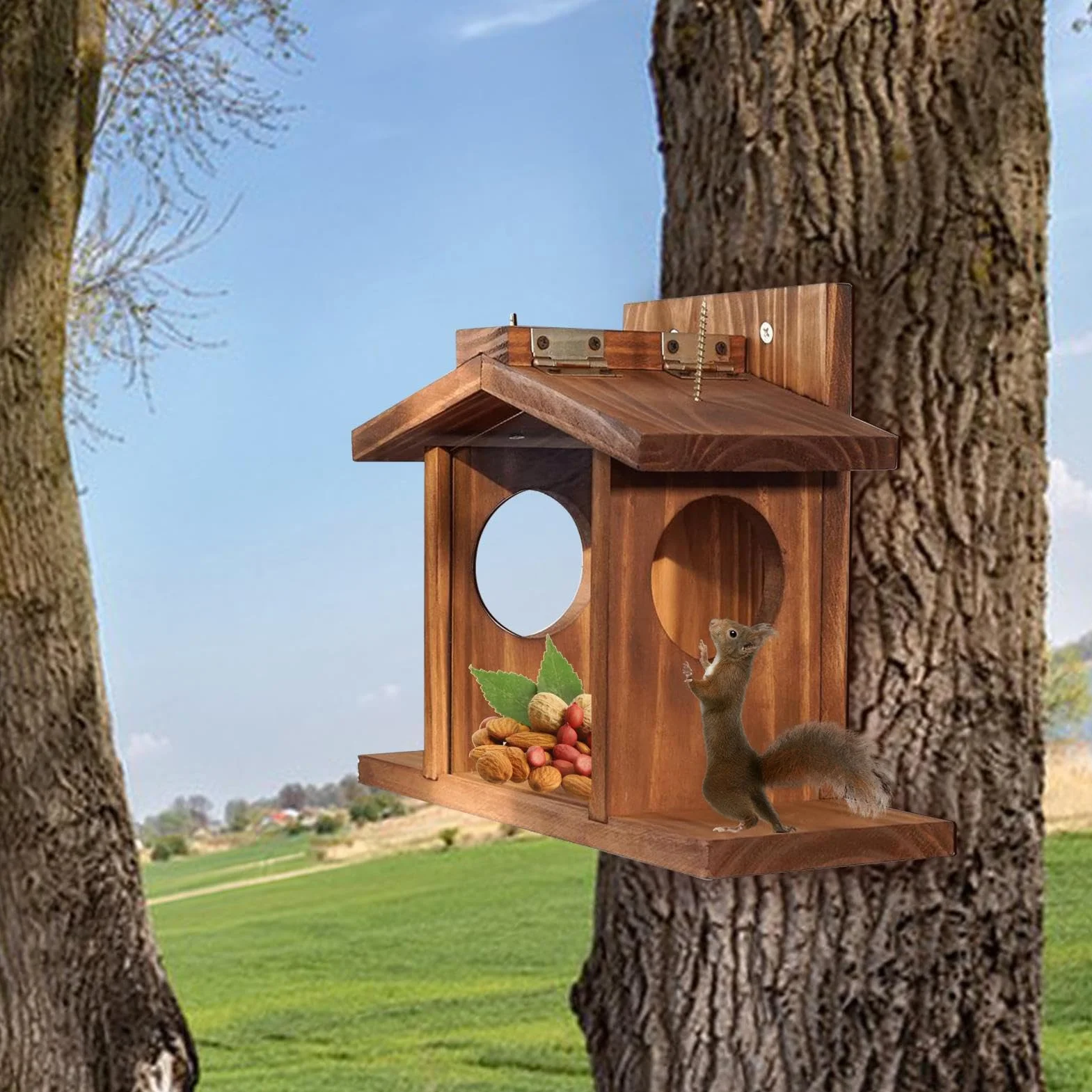 Comedero para ardillas de madera extraíble ajustable exterior