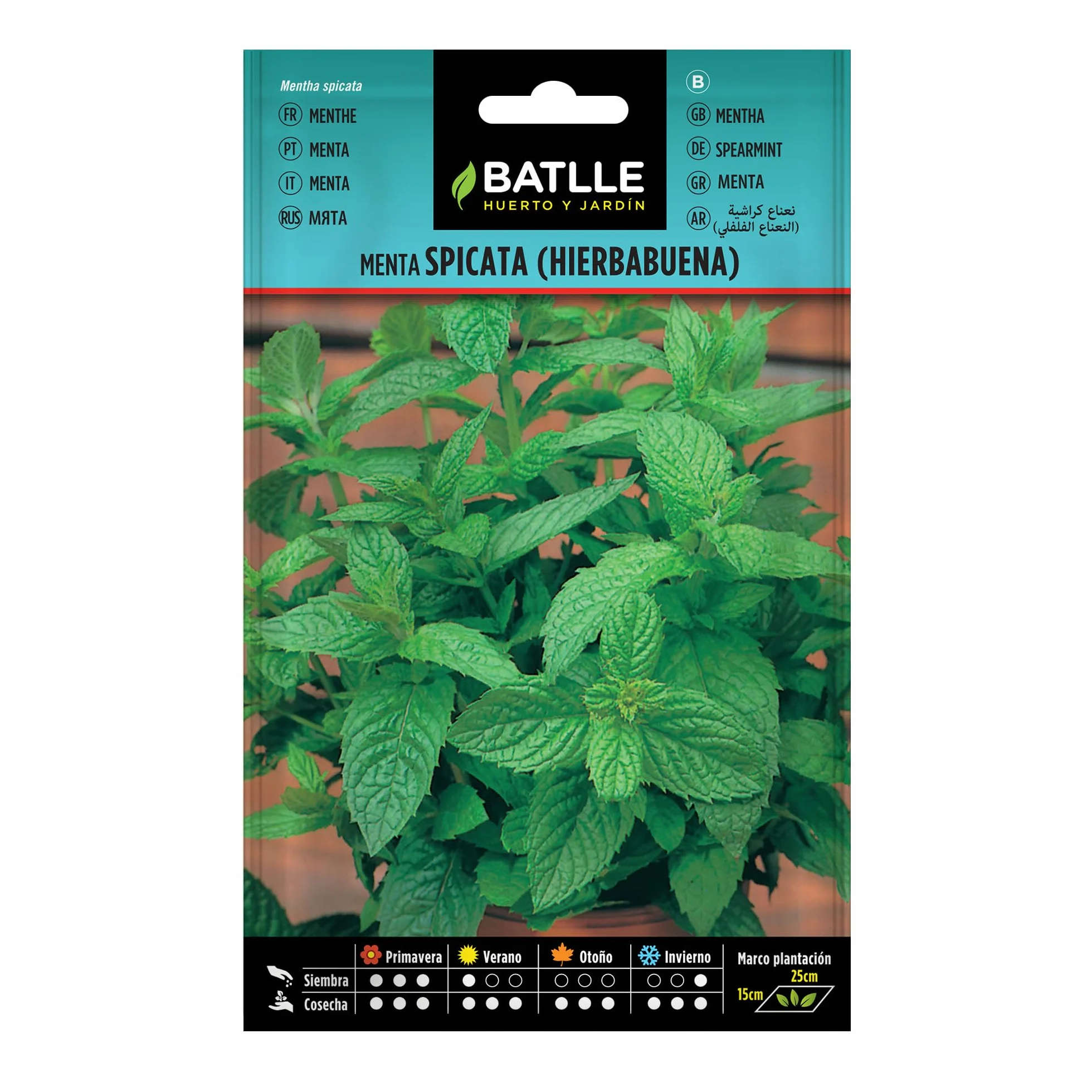 Semillas Batlle Menta Spicata Hierbabuena Verde