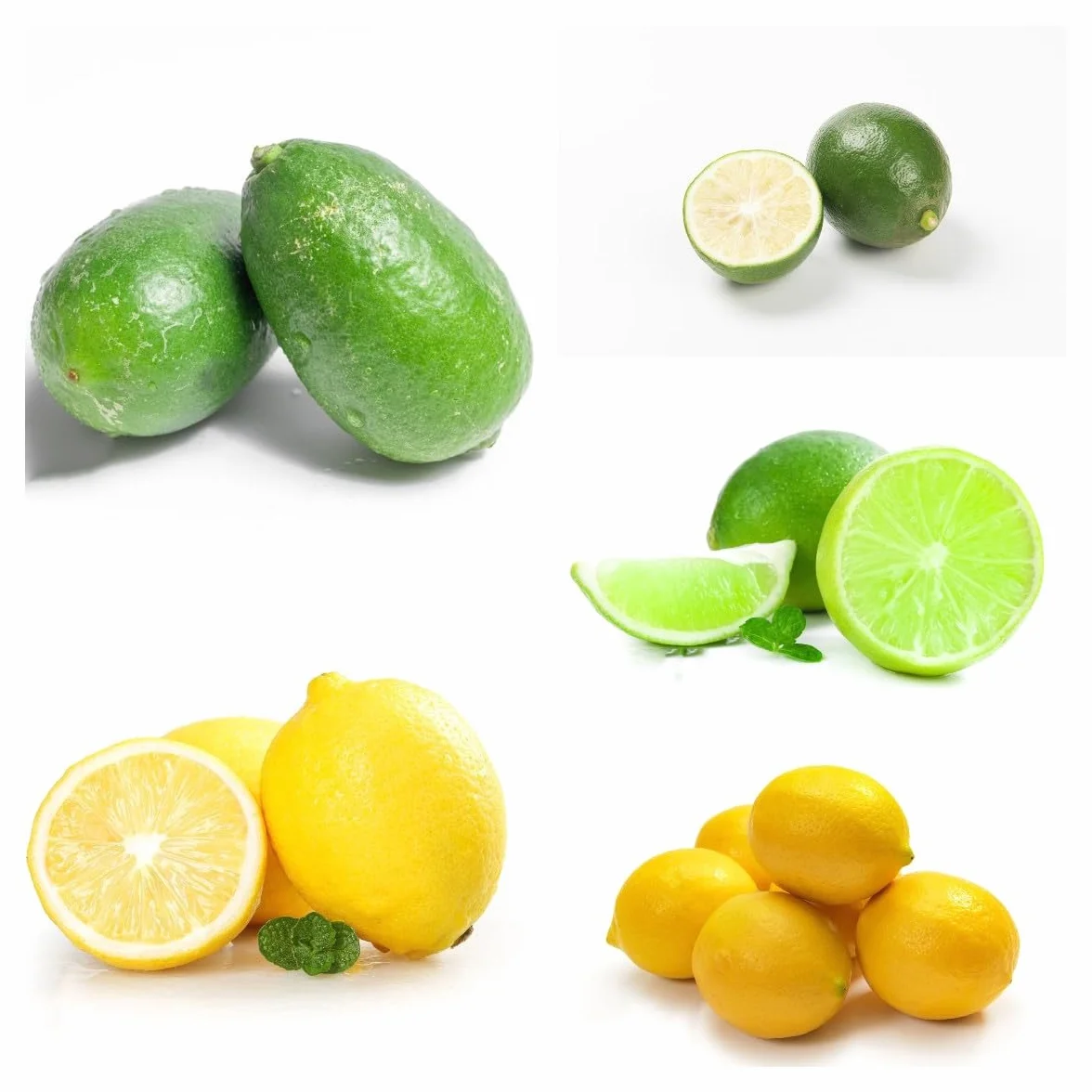 Semillas de Limonero Resistentes 120 Piezas Limón Cítrico Fruta Fresca Plantas de Balcón