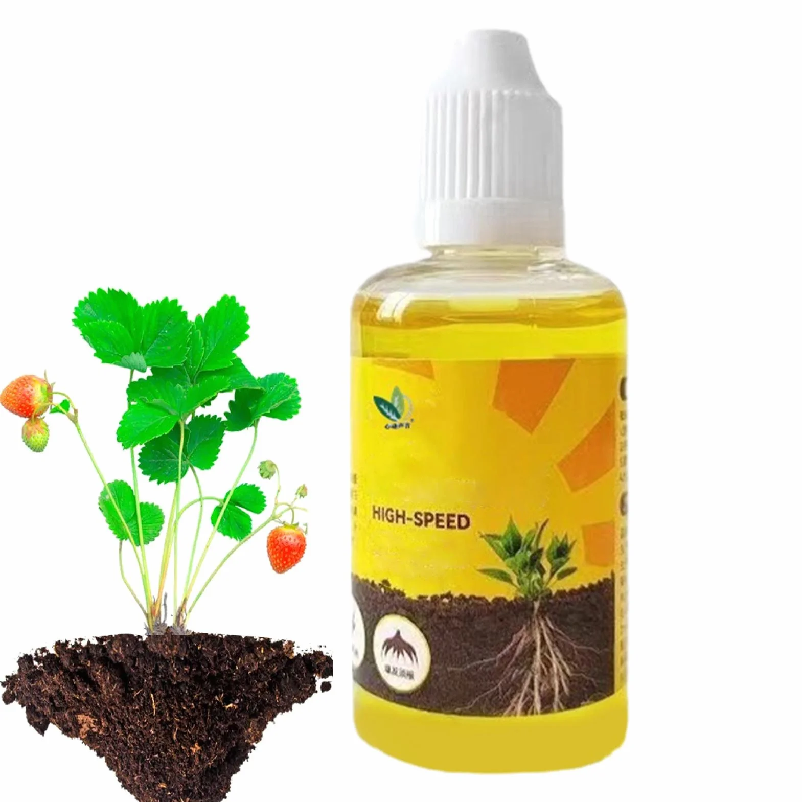 Enraizante Para Esquejes, Polvo De Hormonas, Estimulador Orgánico De Enraizamiento