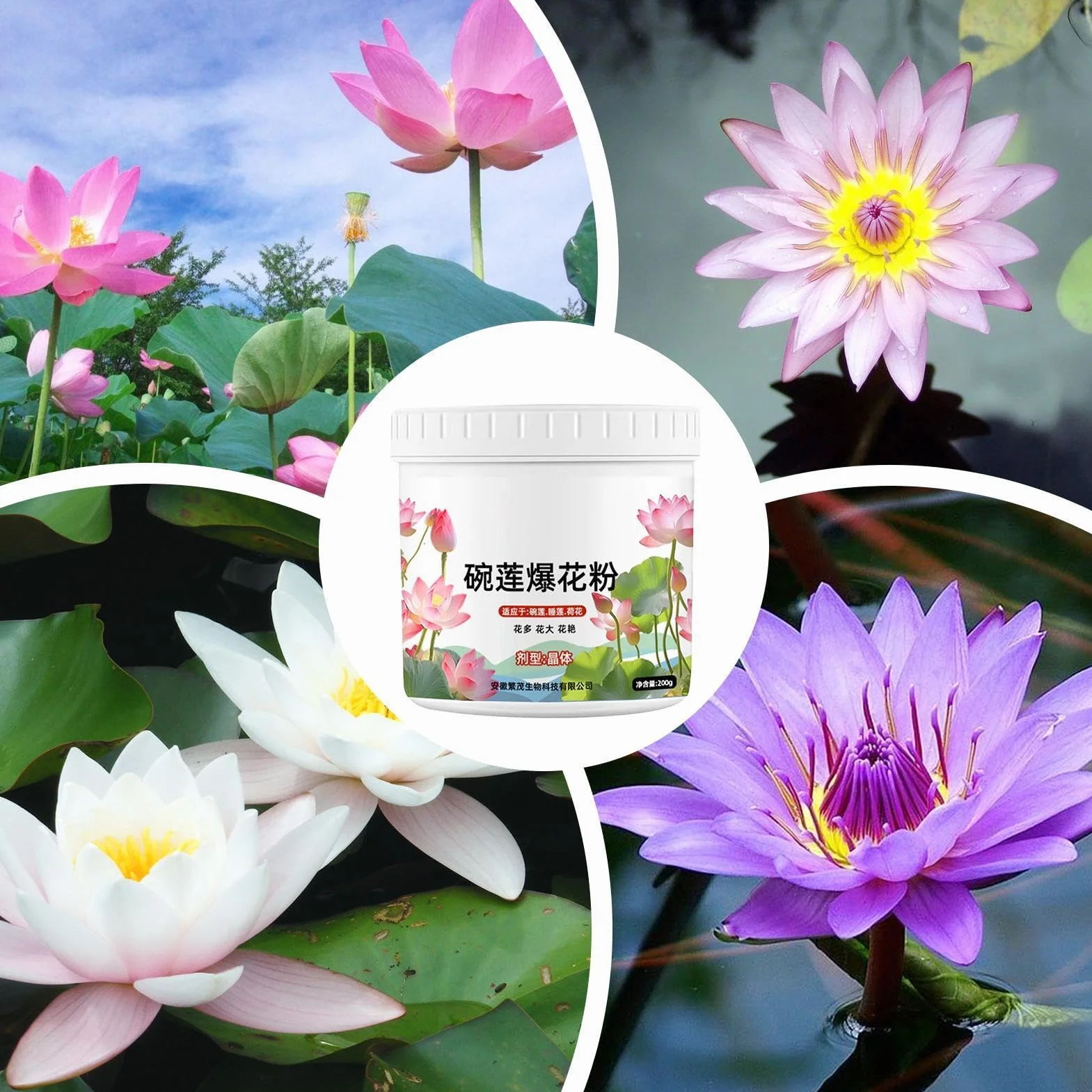 Fertilizante De Nenúfar: Pastillas De Raíz De Nenúfar, Potenciador De Flores Para Un Crecimiento Saludable | Alimento Eficaz Para Plantas De Acuarios Y Estanques, Fertilizante Para Plantas Acuáticas P